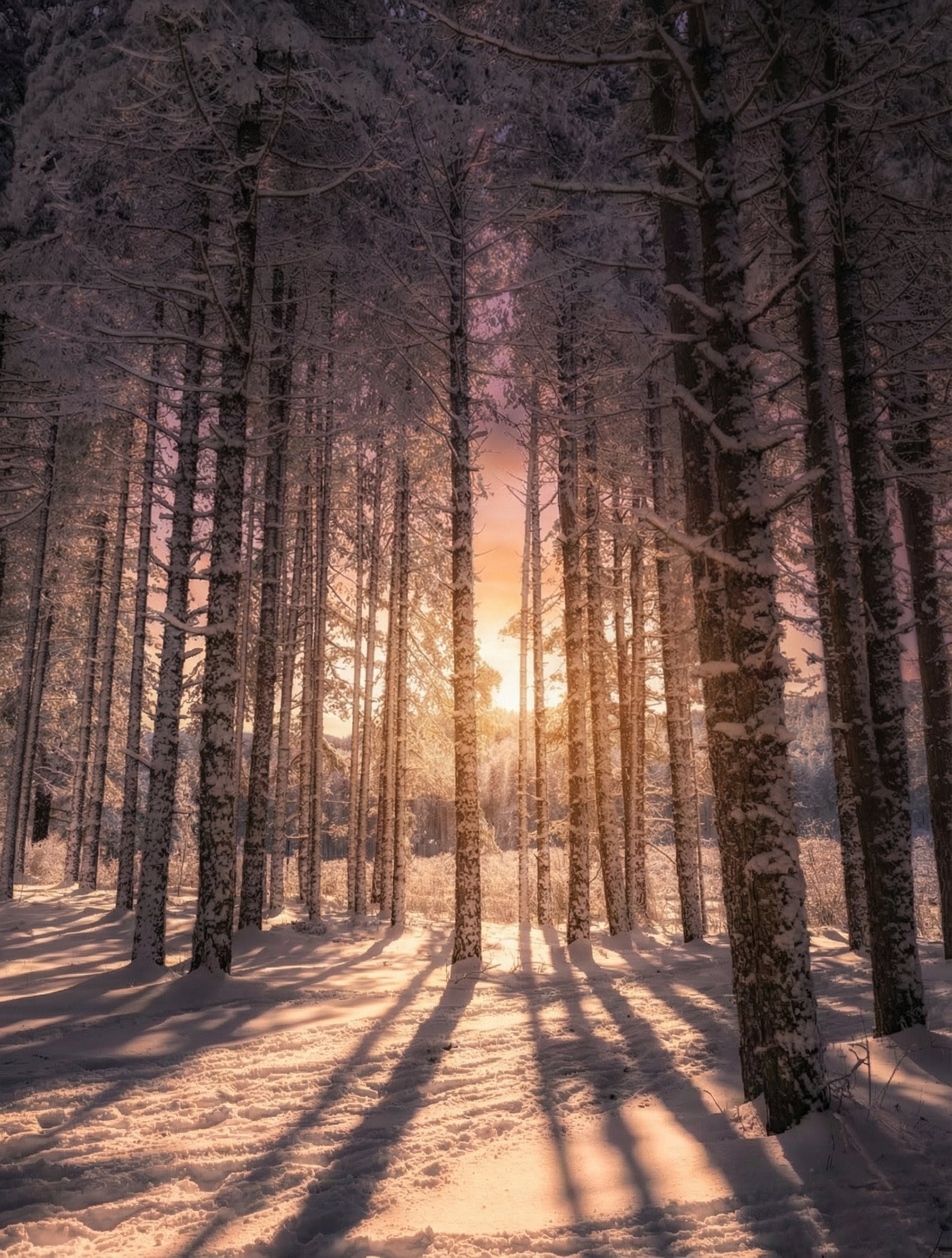 Tramonto sulla neve