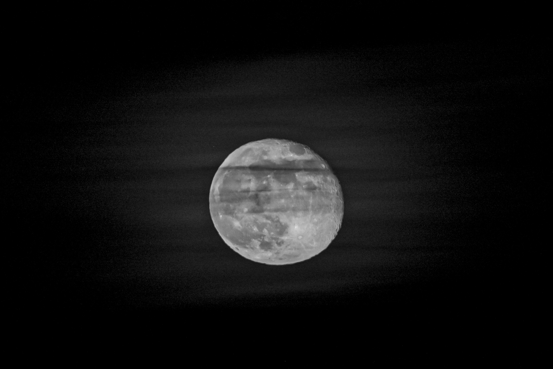 Luna velata