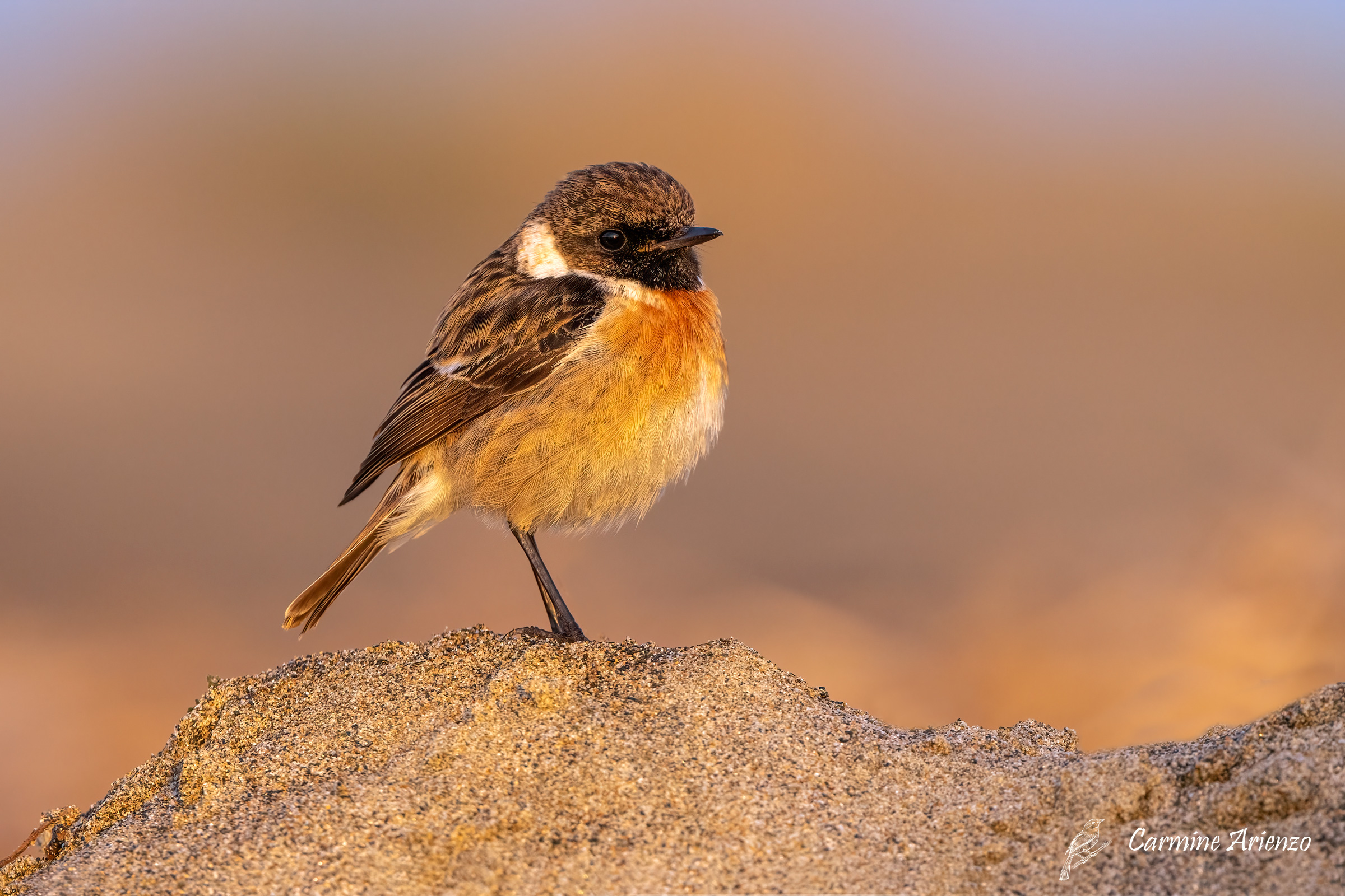 Saltinpalo .... d'orato