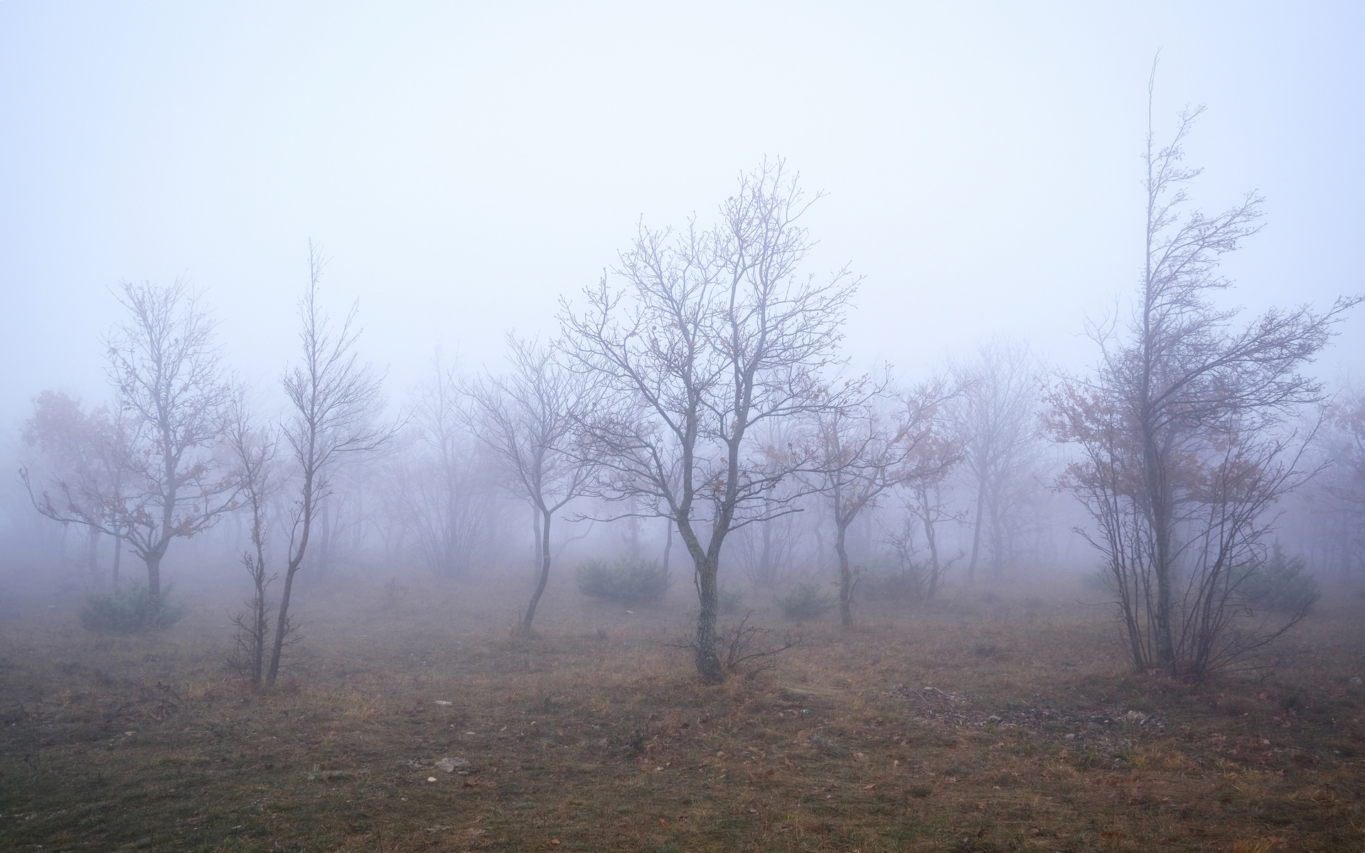 Fog on the mountain of Serripola - San Severino Marche