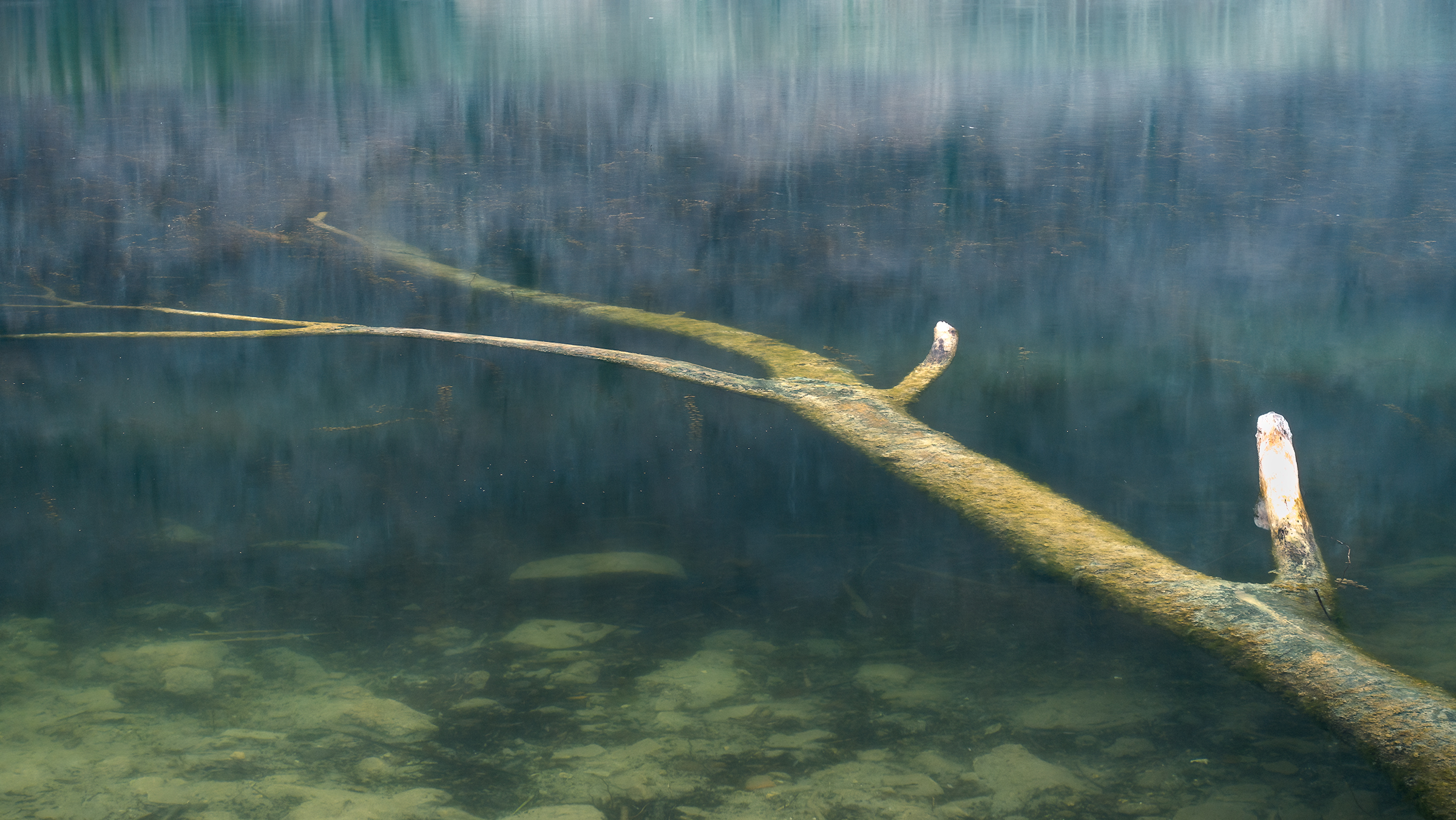 Sotto acqua