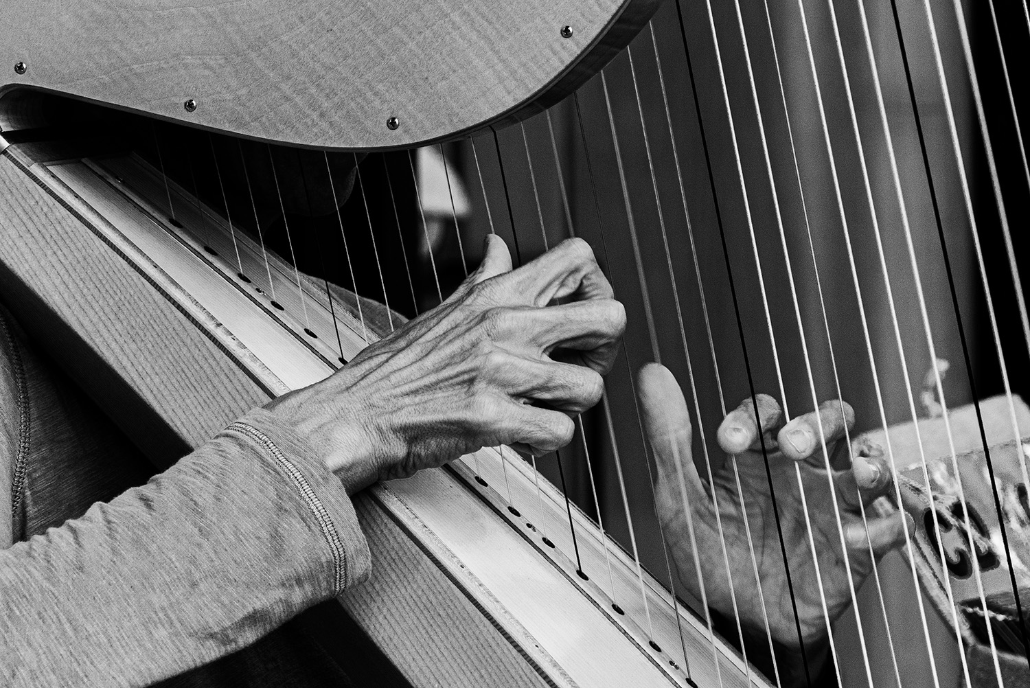 Harpist