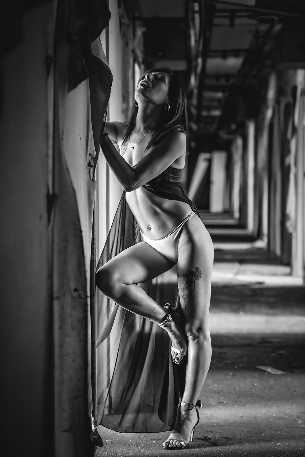 Untitled Photo