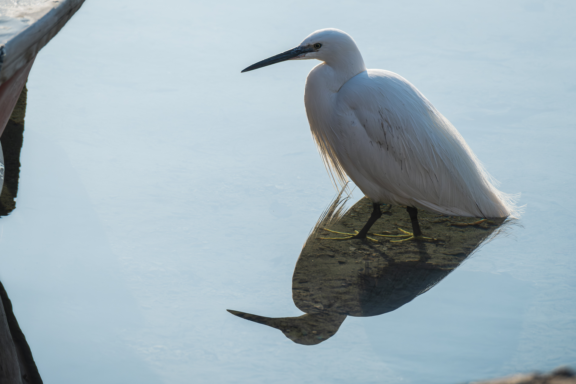Luci, ombre, trasparenze.