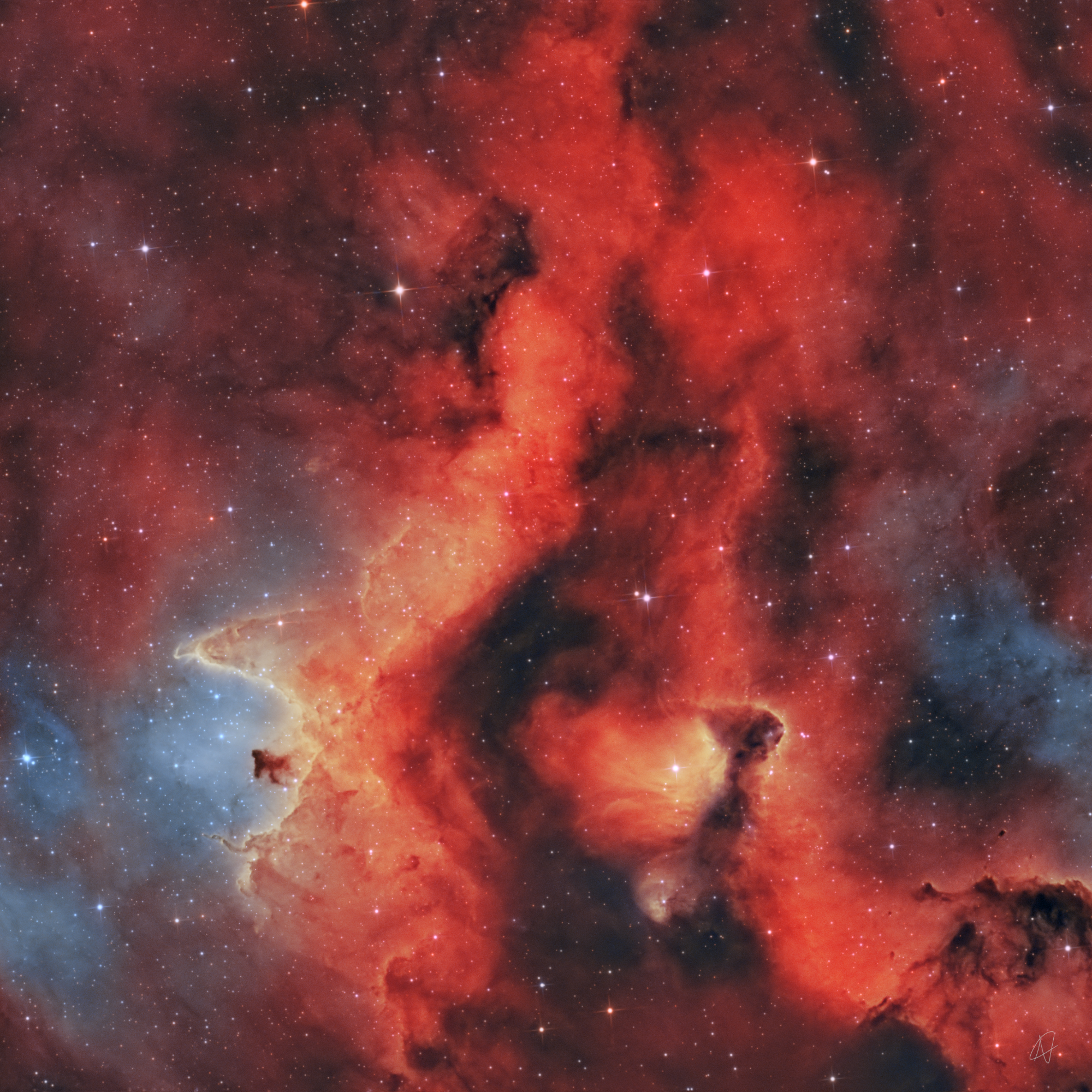 Close up sulla Nebulosa anima - IC 1848