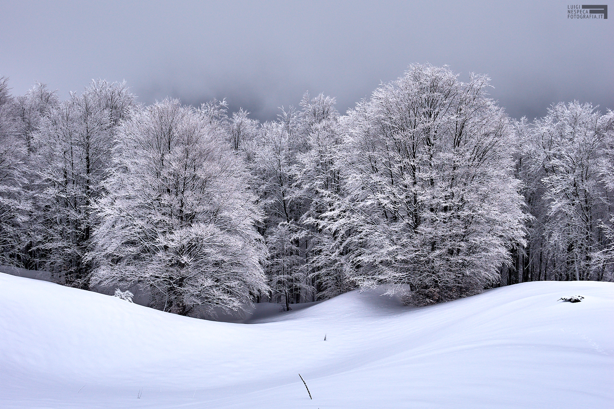 Monti della Laga e il bosco di cristallo