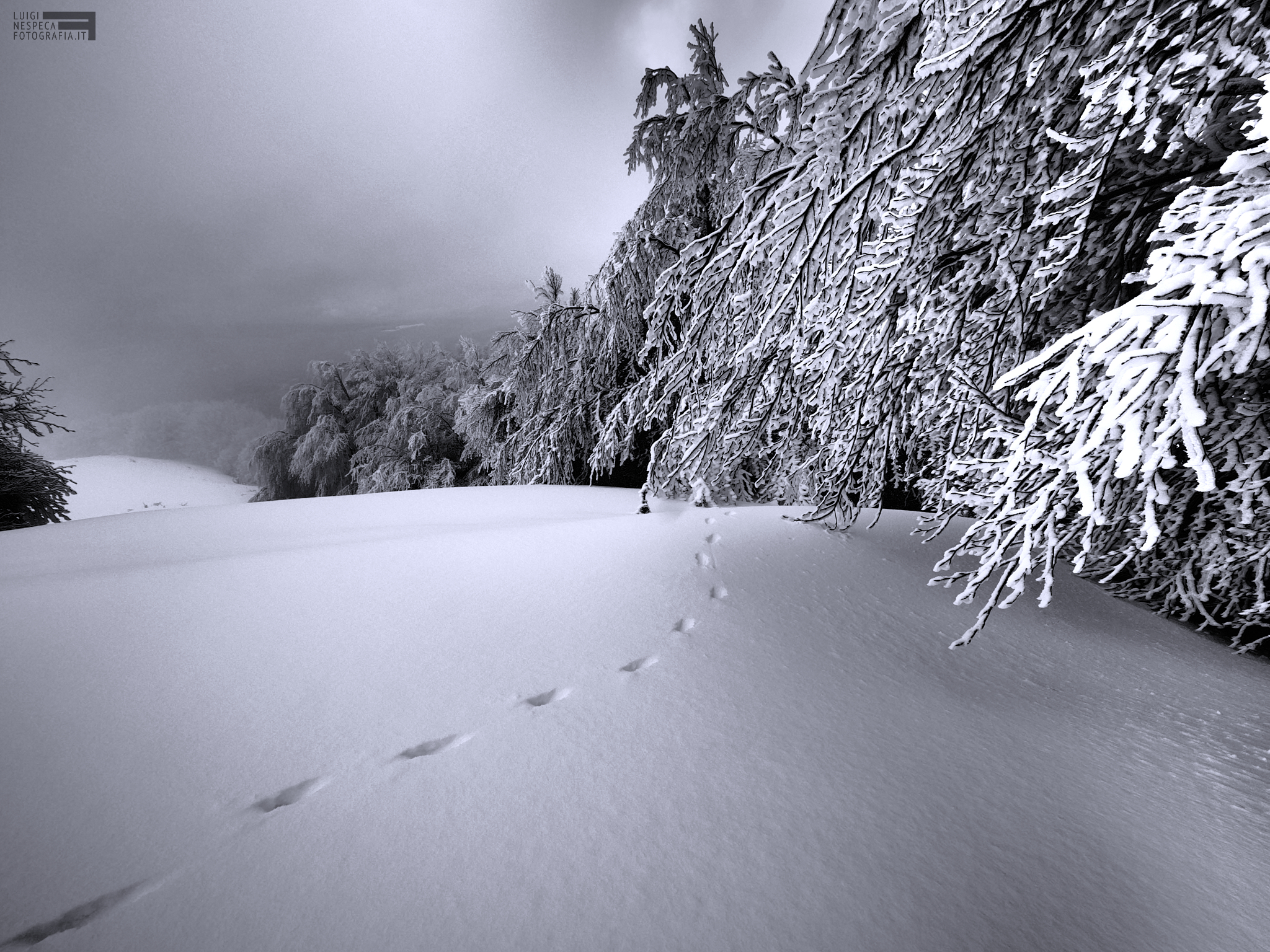 Monti della Laga e il bosco di cristallo