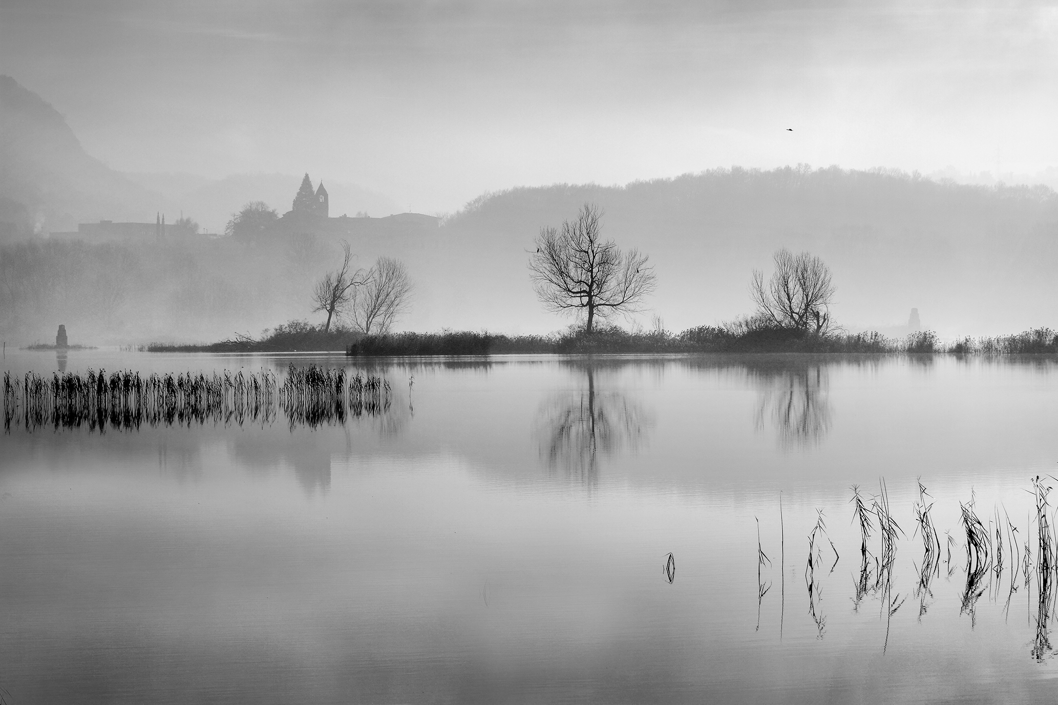 Torbiere d'Iseo in B&W.