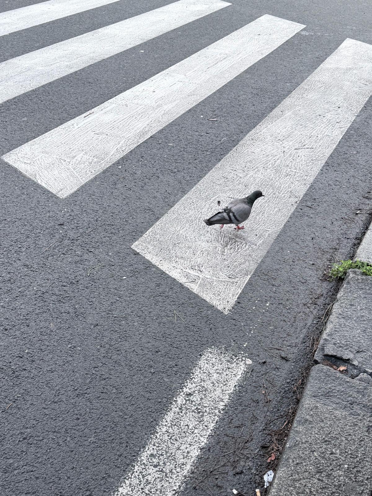 Senza titolo