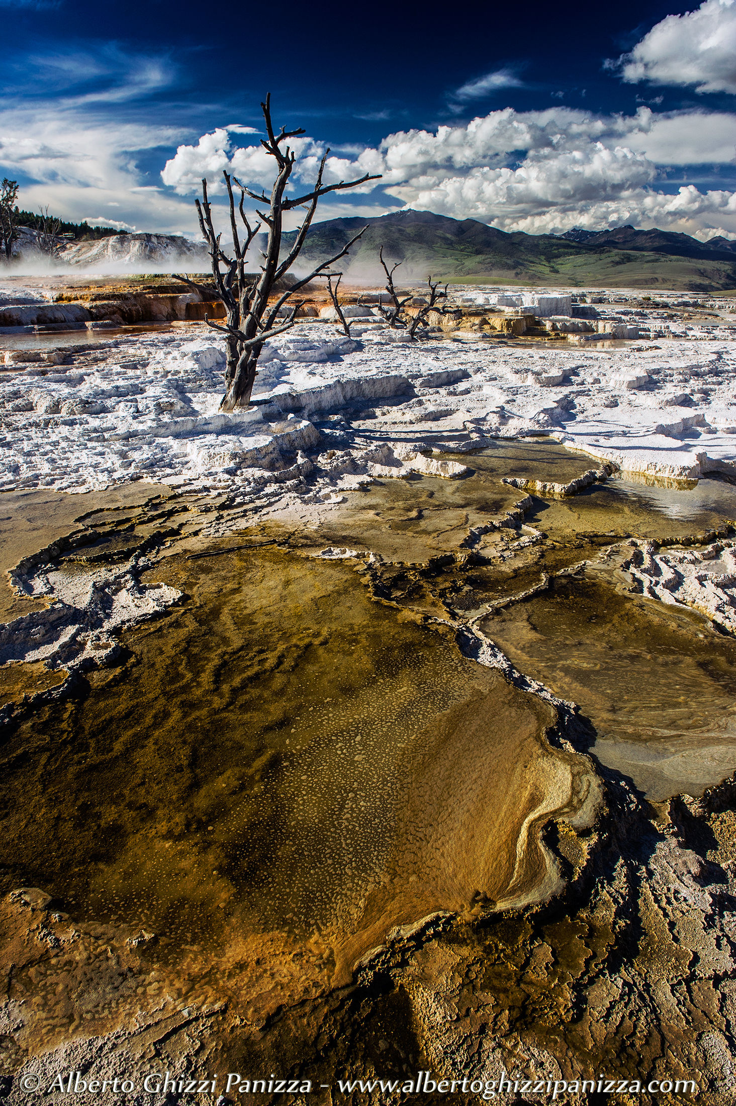 Mammoth Hot Springs