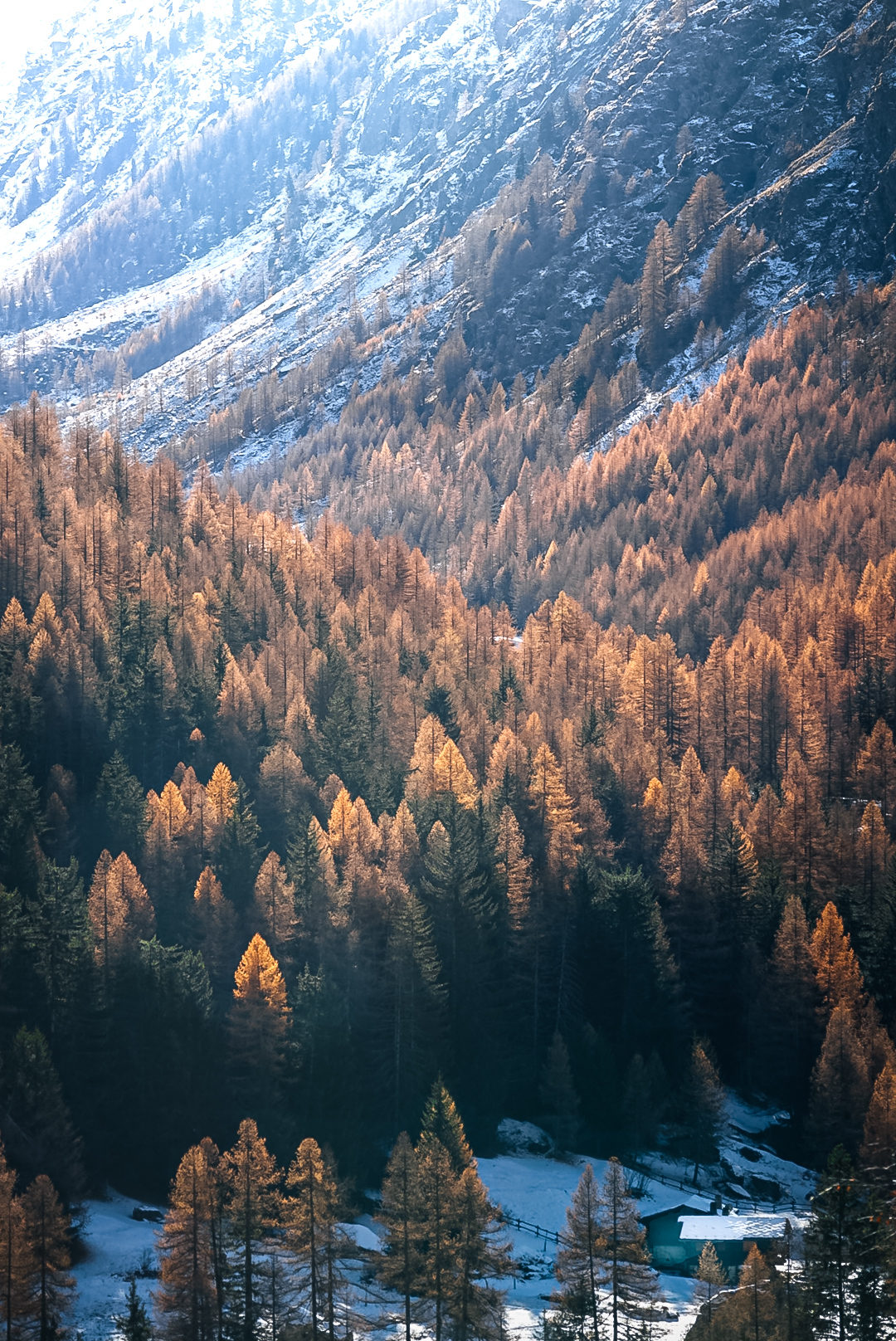 Untitled Photo