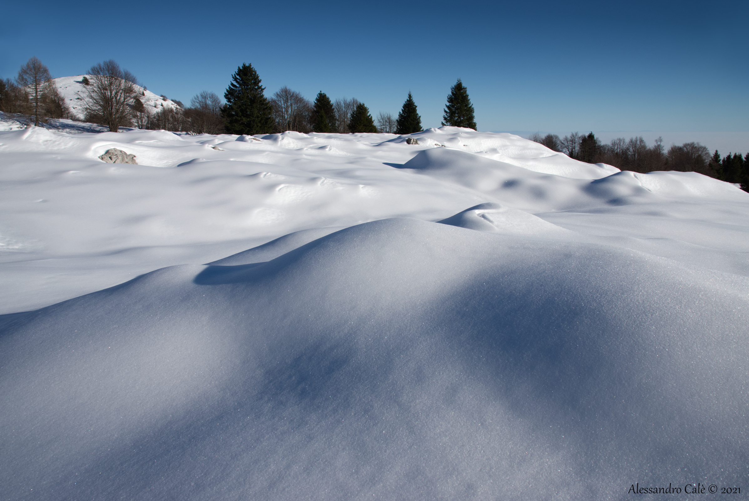 Un mare di neve 4921