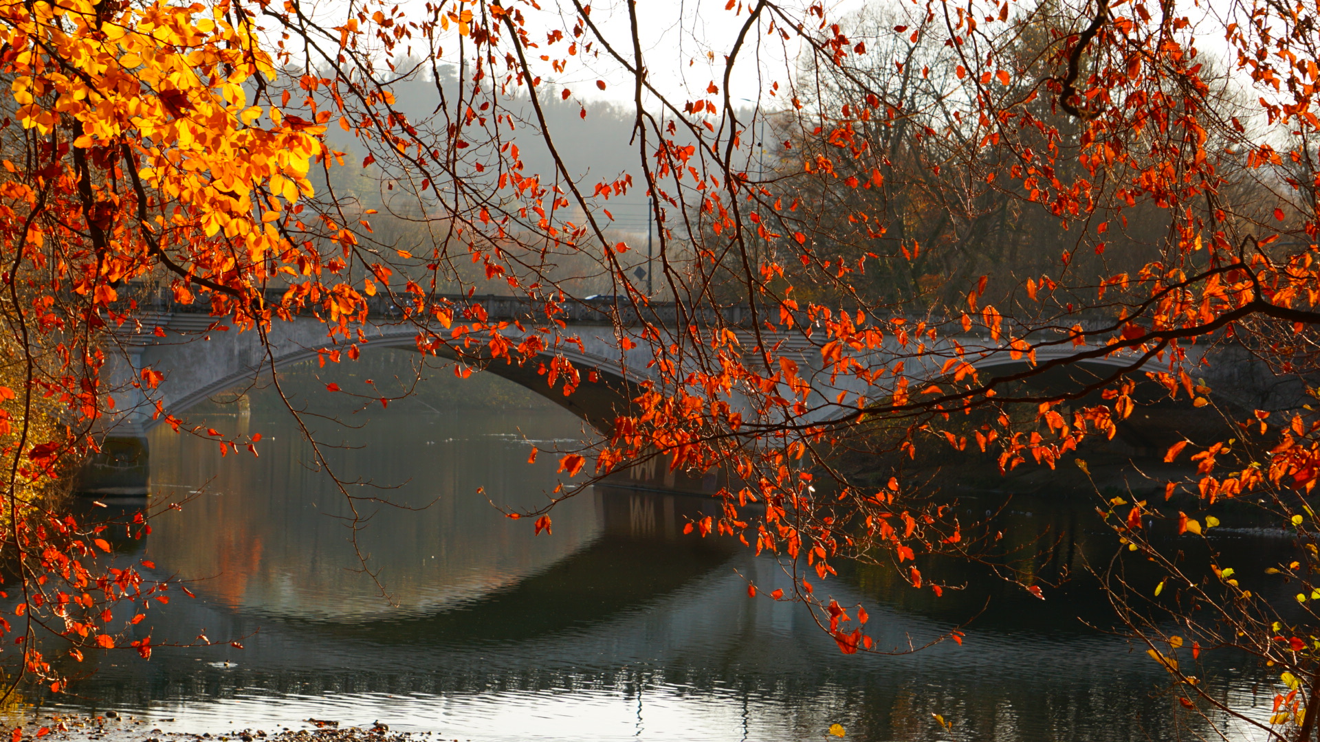 Turin