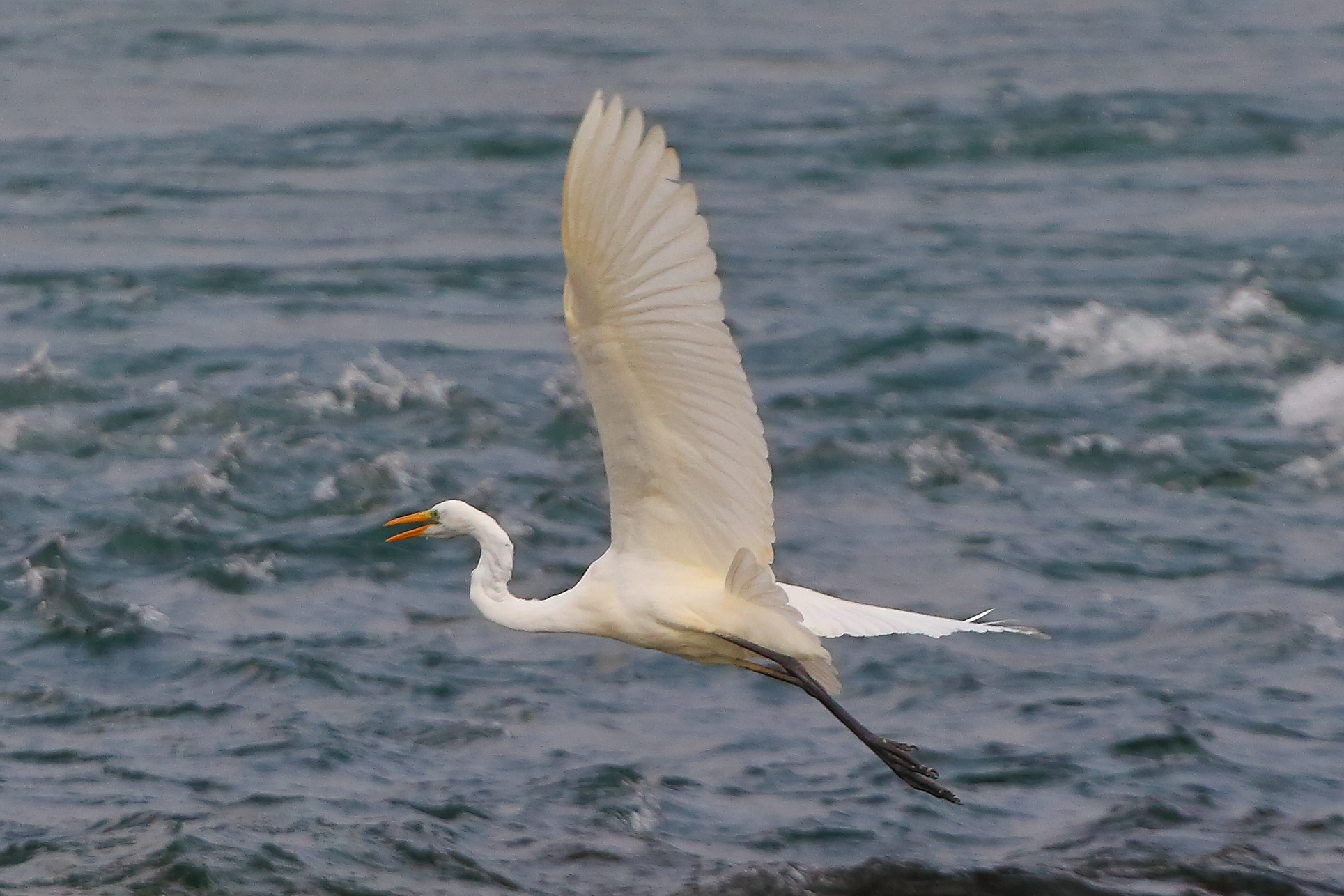 ABM settembre 2025 - 0128