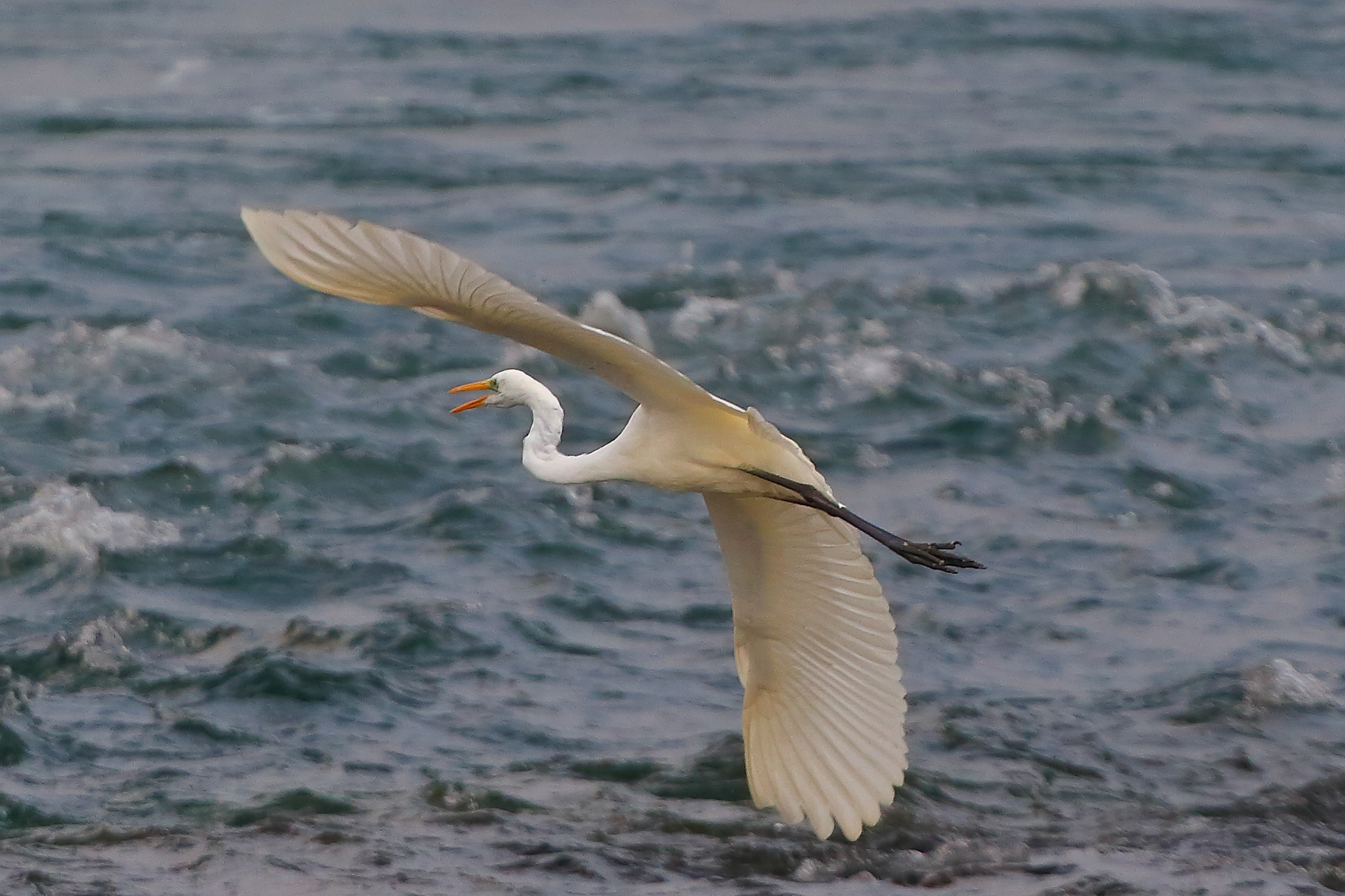 ABM settembre 2025 - 0129