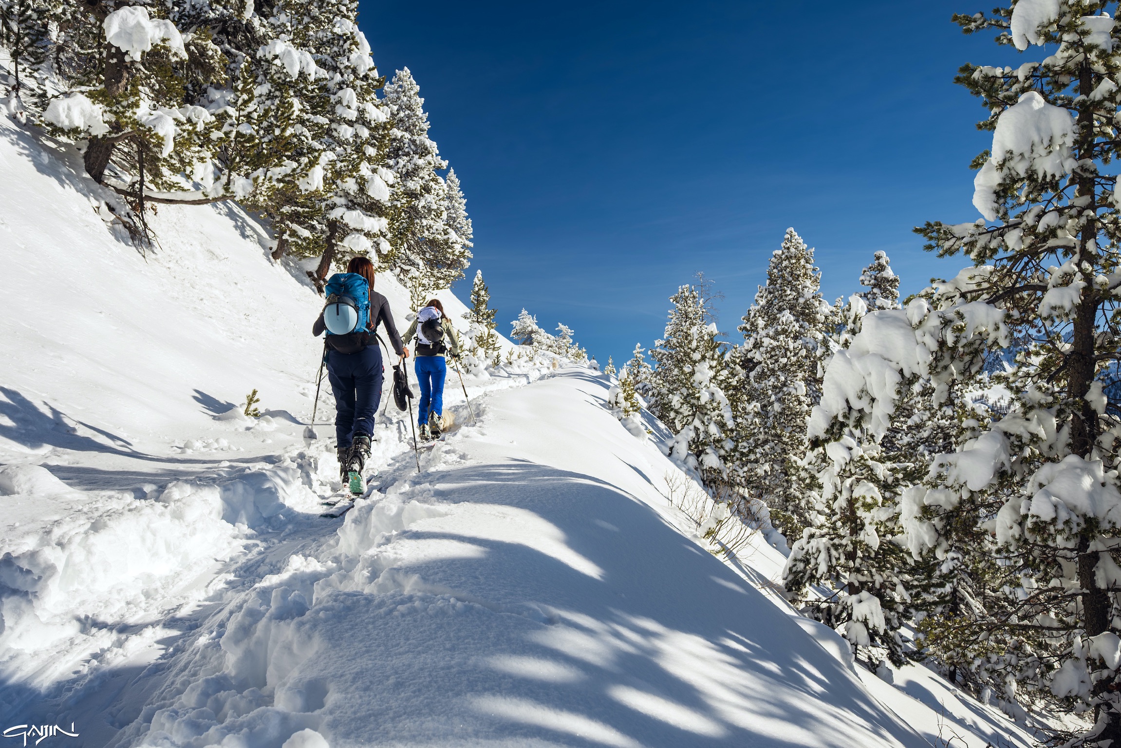 Nel bosco innevato