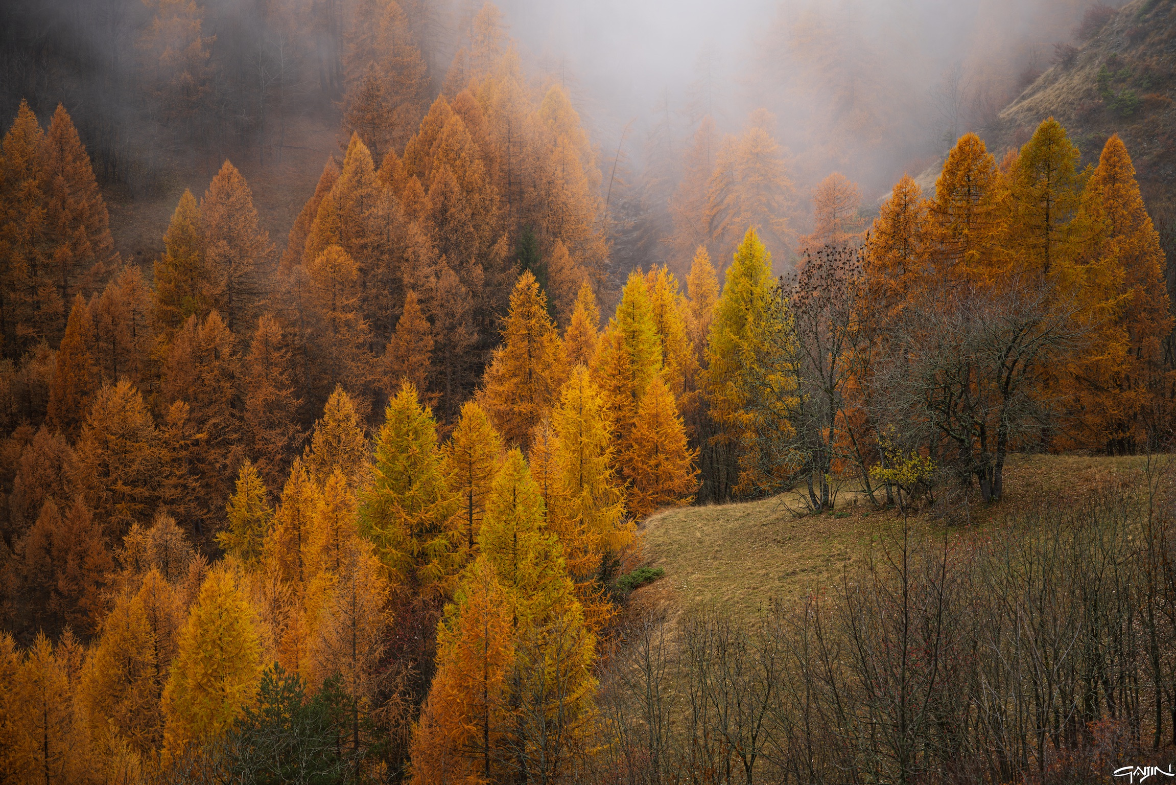 Autunno