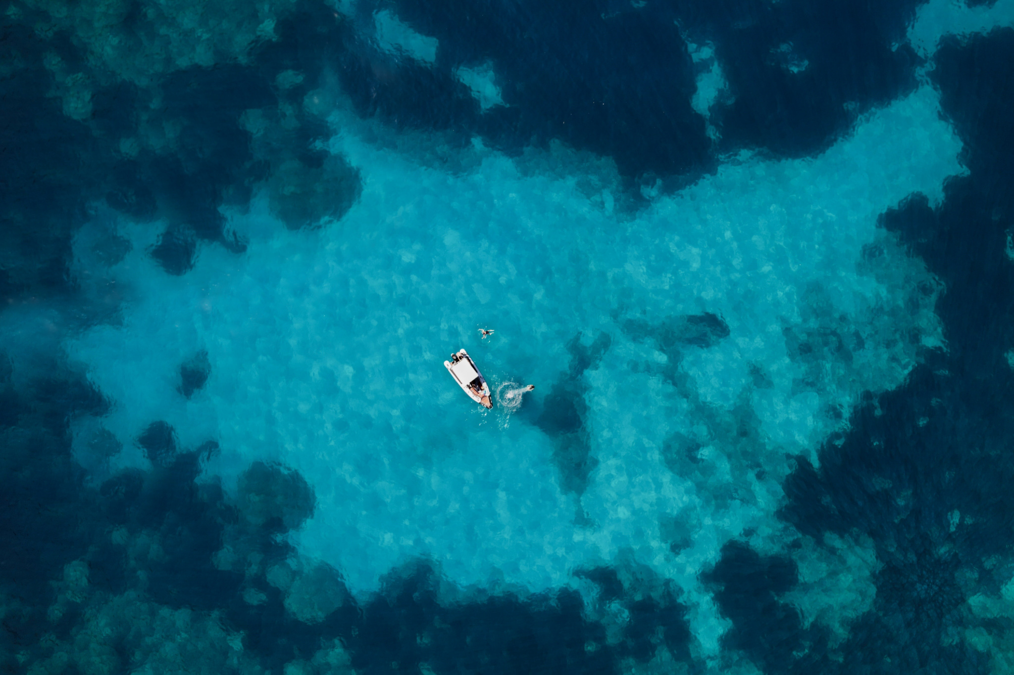 A dive into the blue