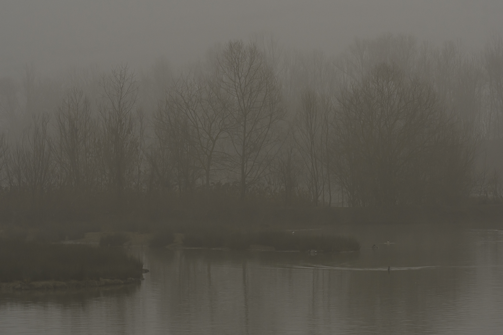 Magnificent desolation