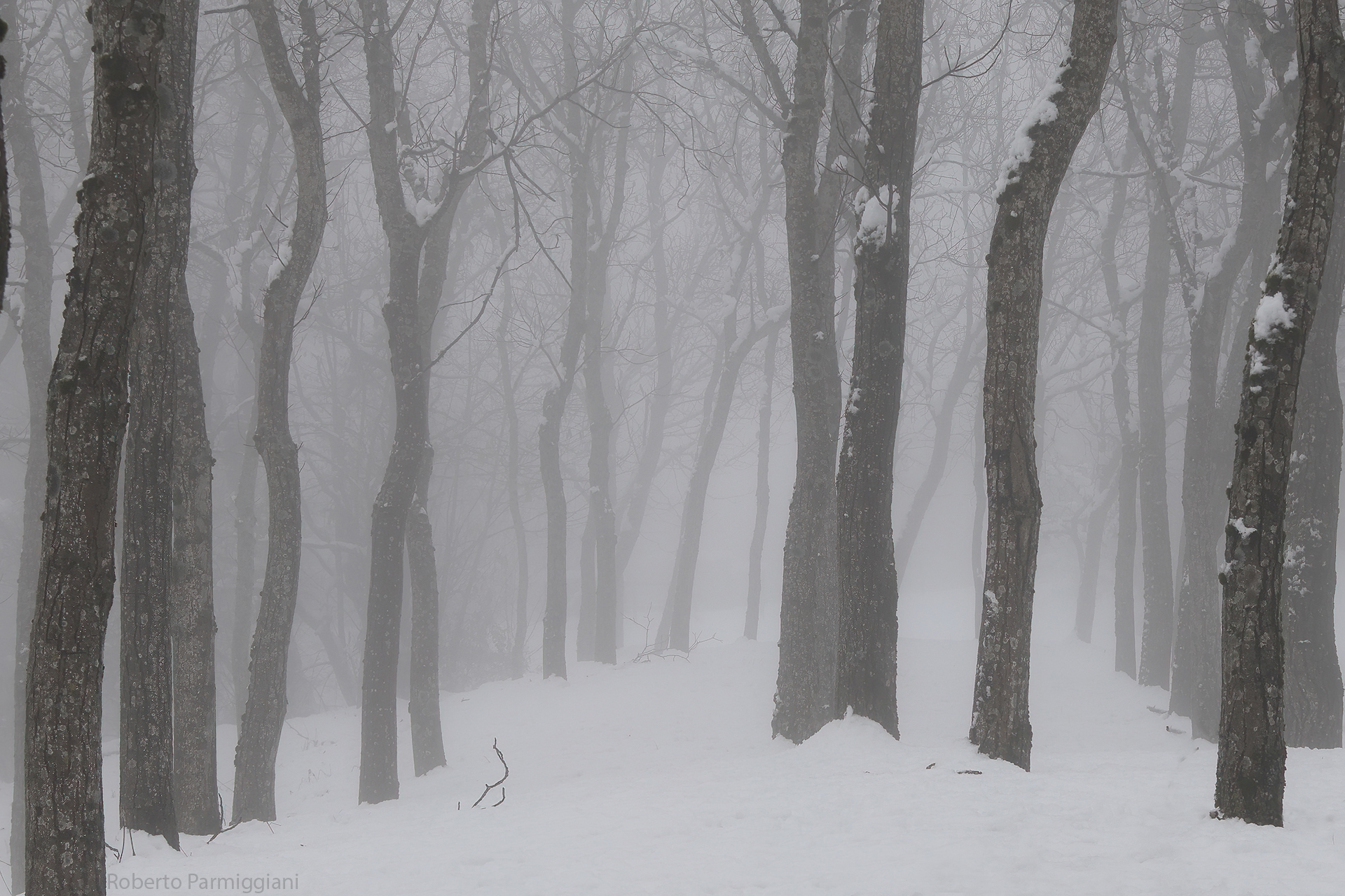 Misty