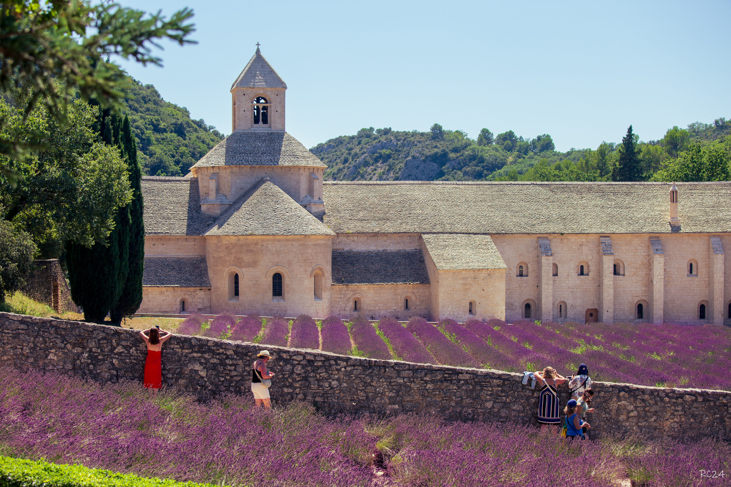 Abbazia di Senanque, Provenza