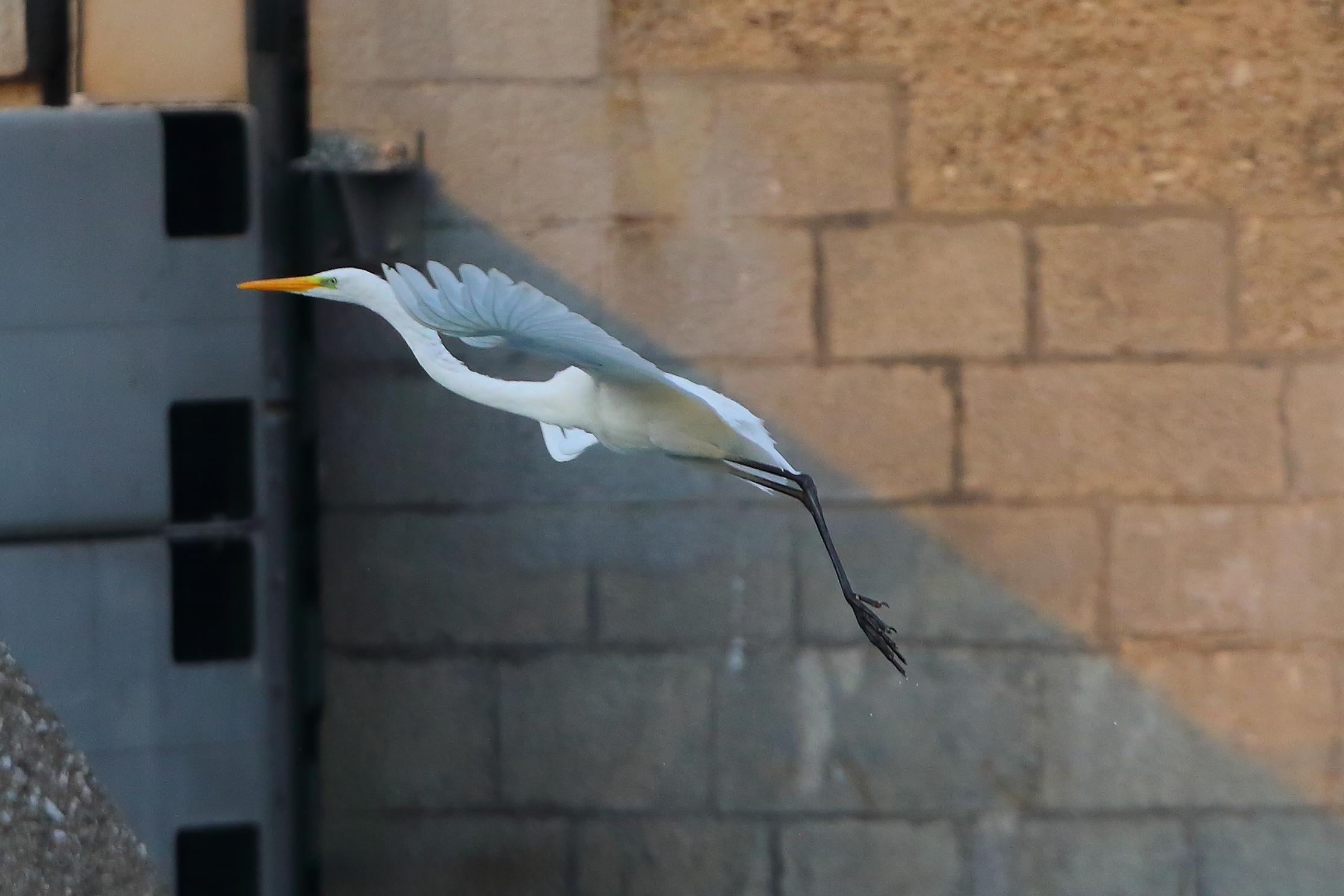 ABM 09 settembre 2025 - 0150