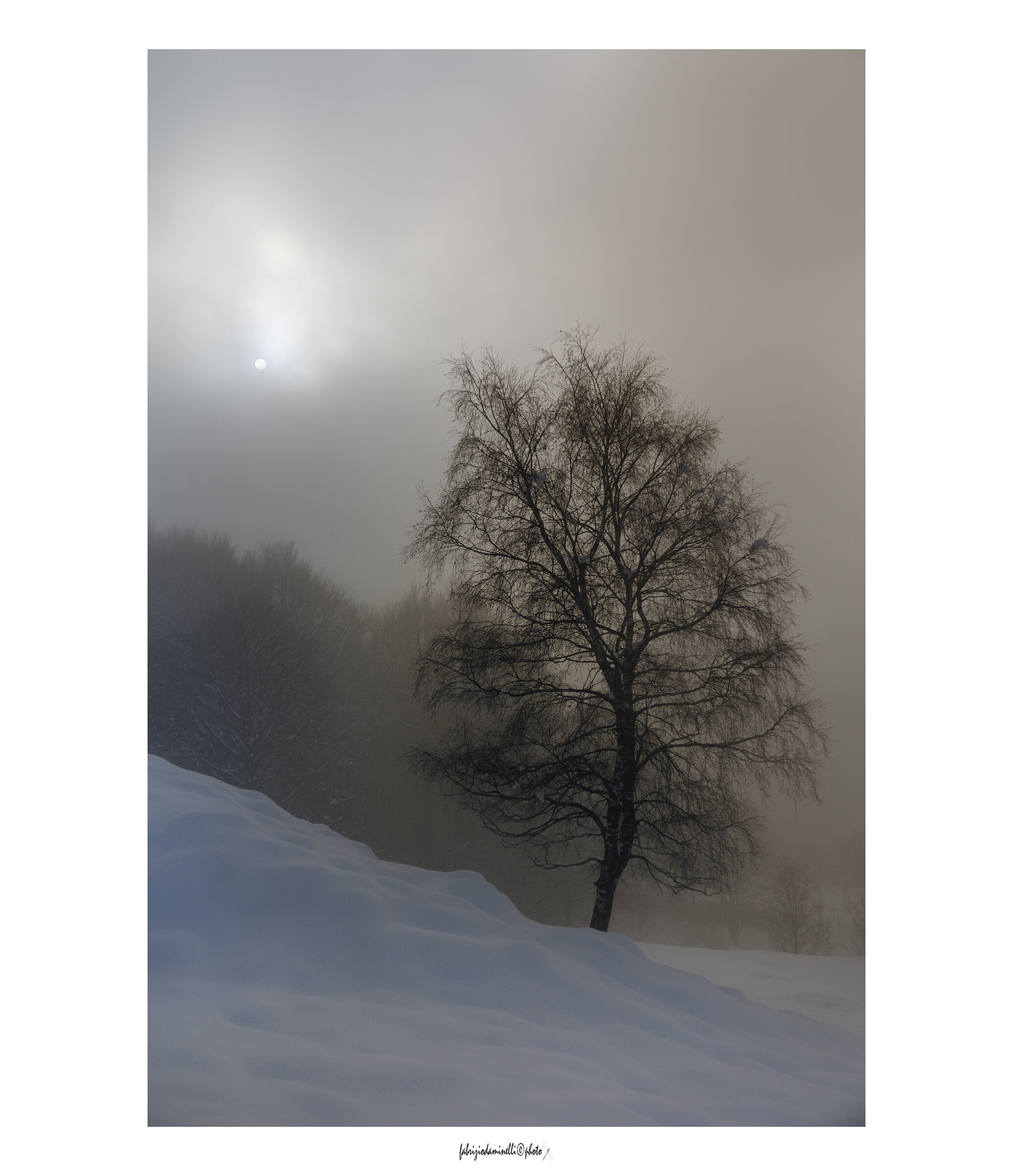 l'albero dell'inverno