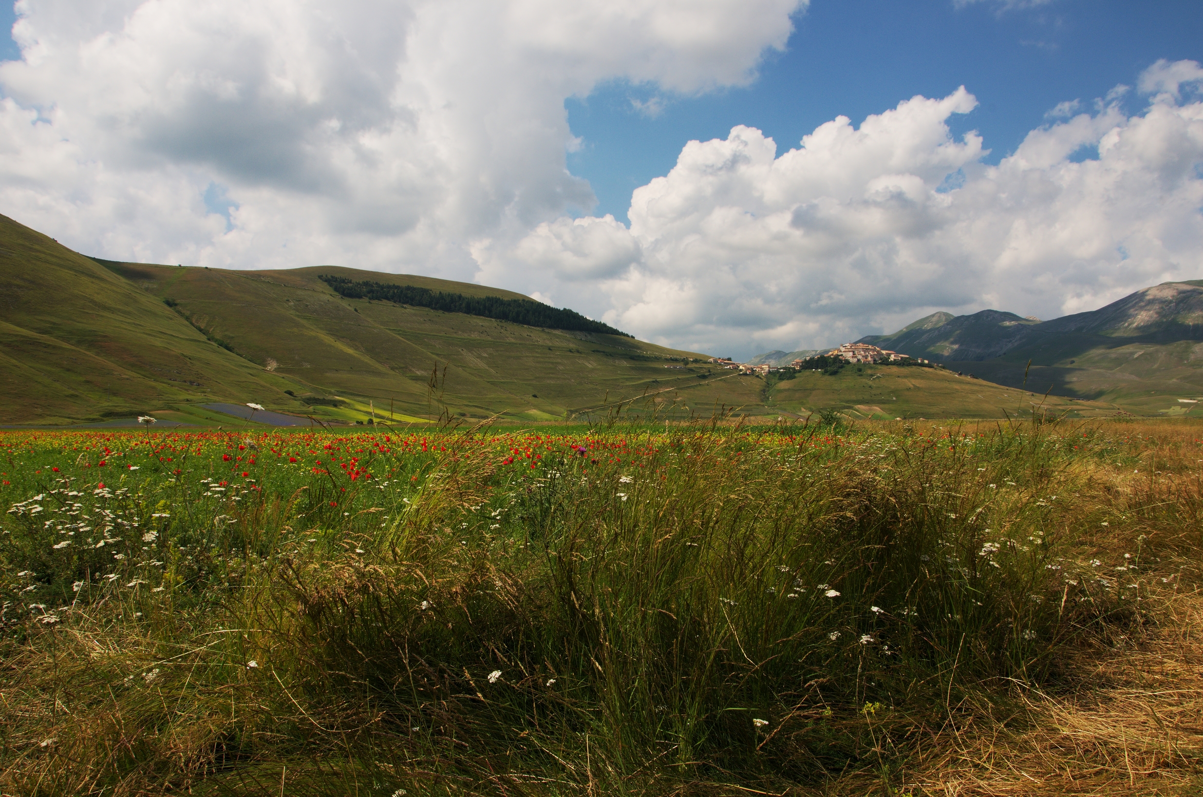 castelluccio di norcia