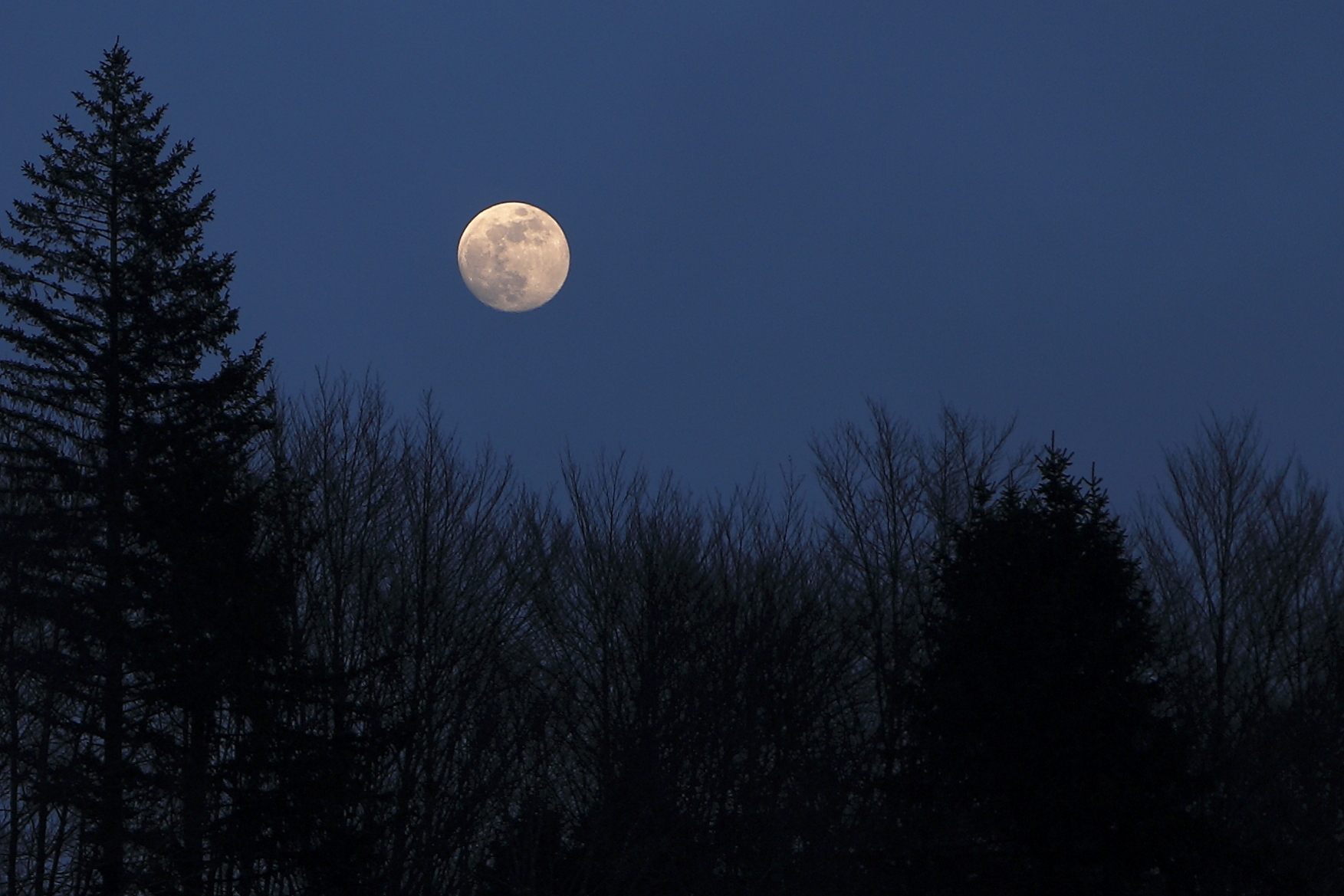 Midnight moon
