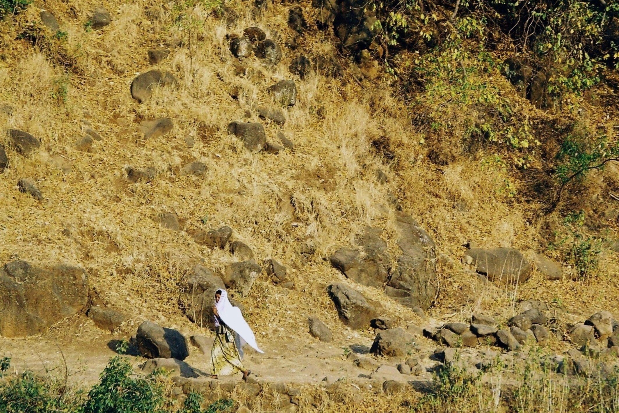 The white cloak