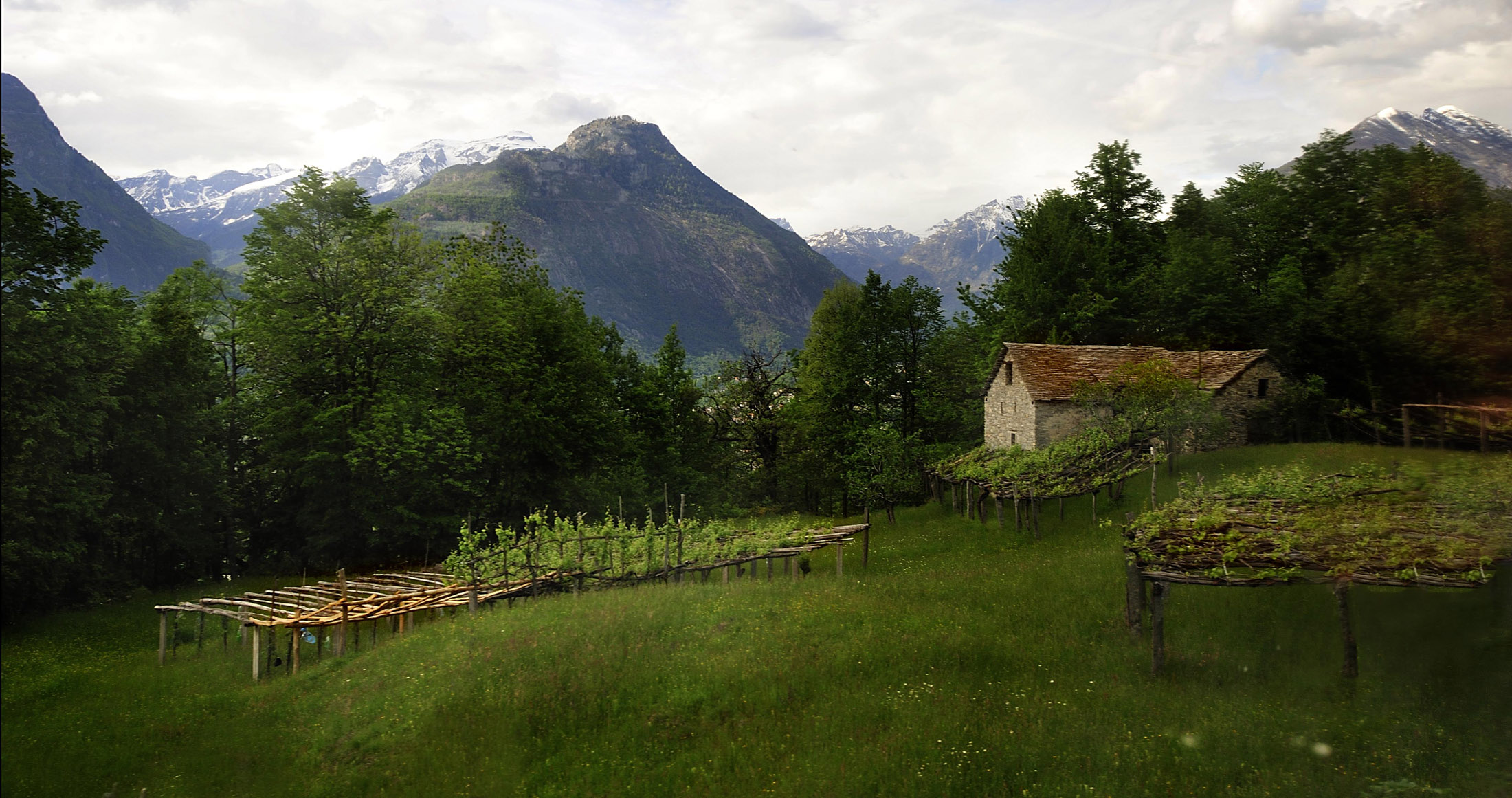 dal trenino centovalli