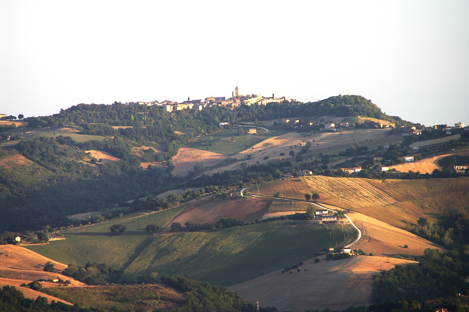 Colline marchigiane