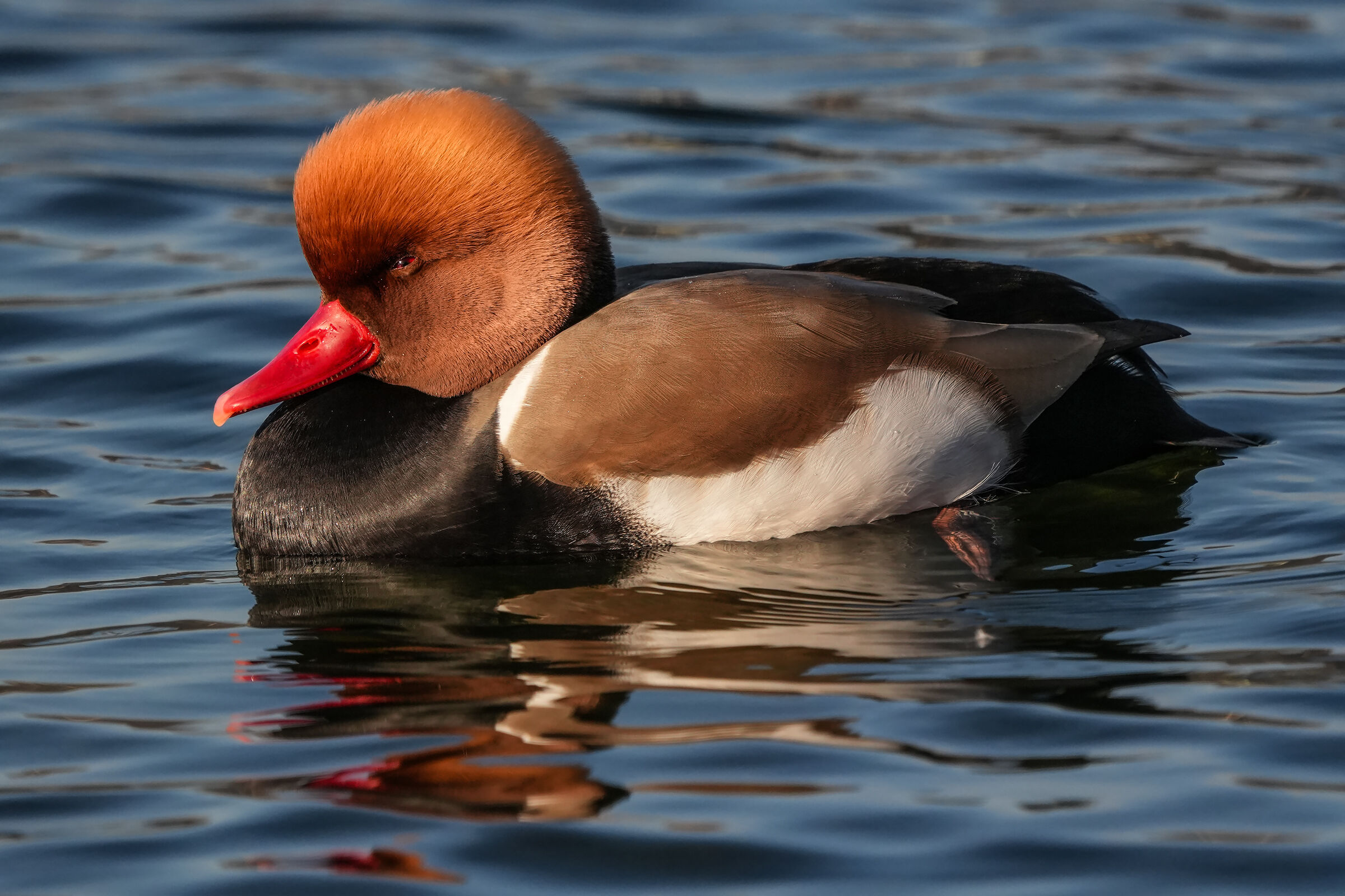 who remembers you....?