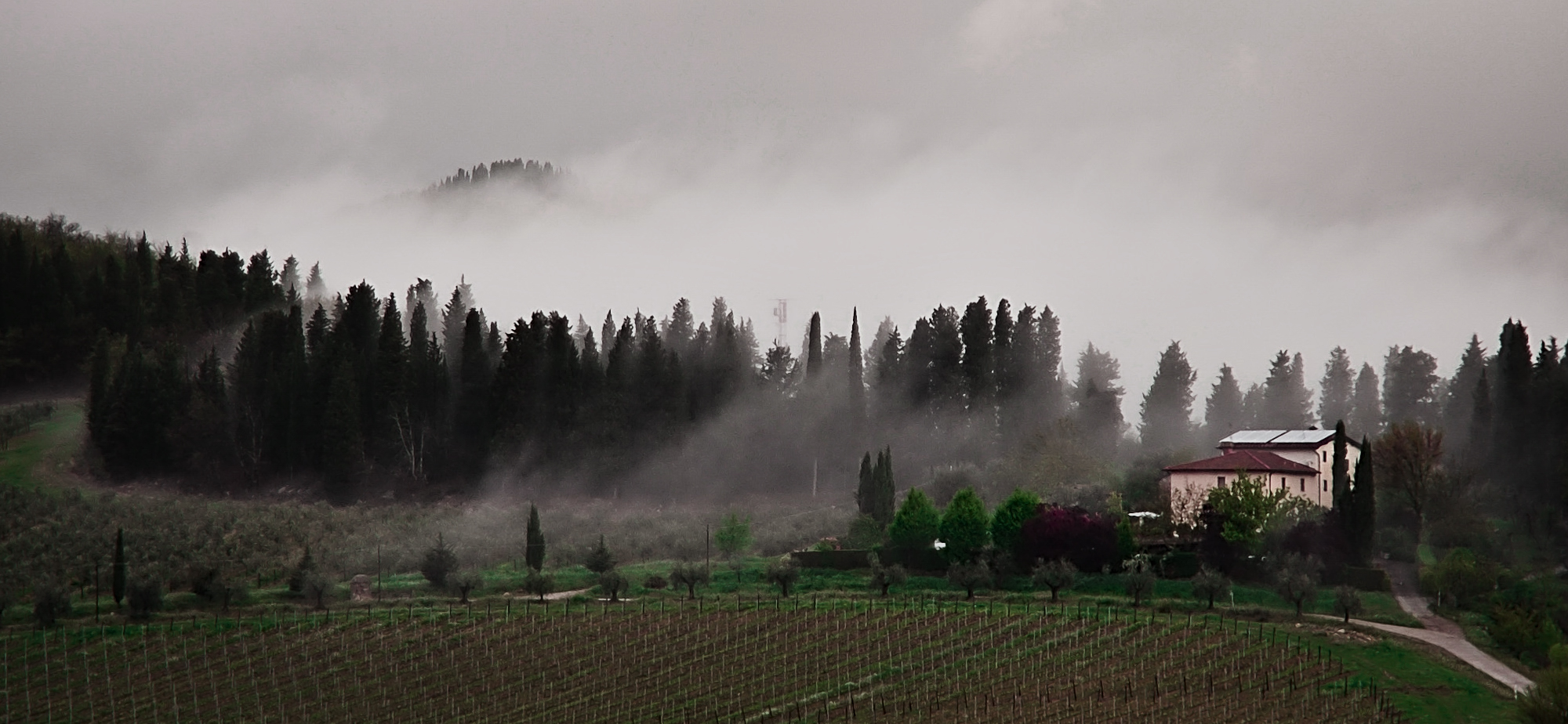 a wet March in Tuscany