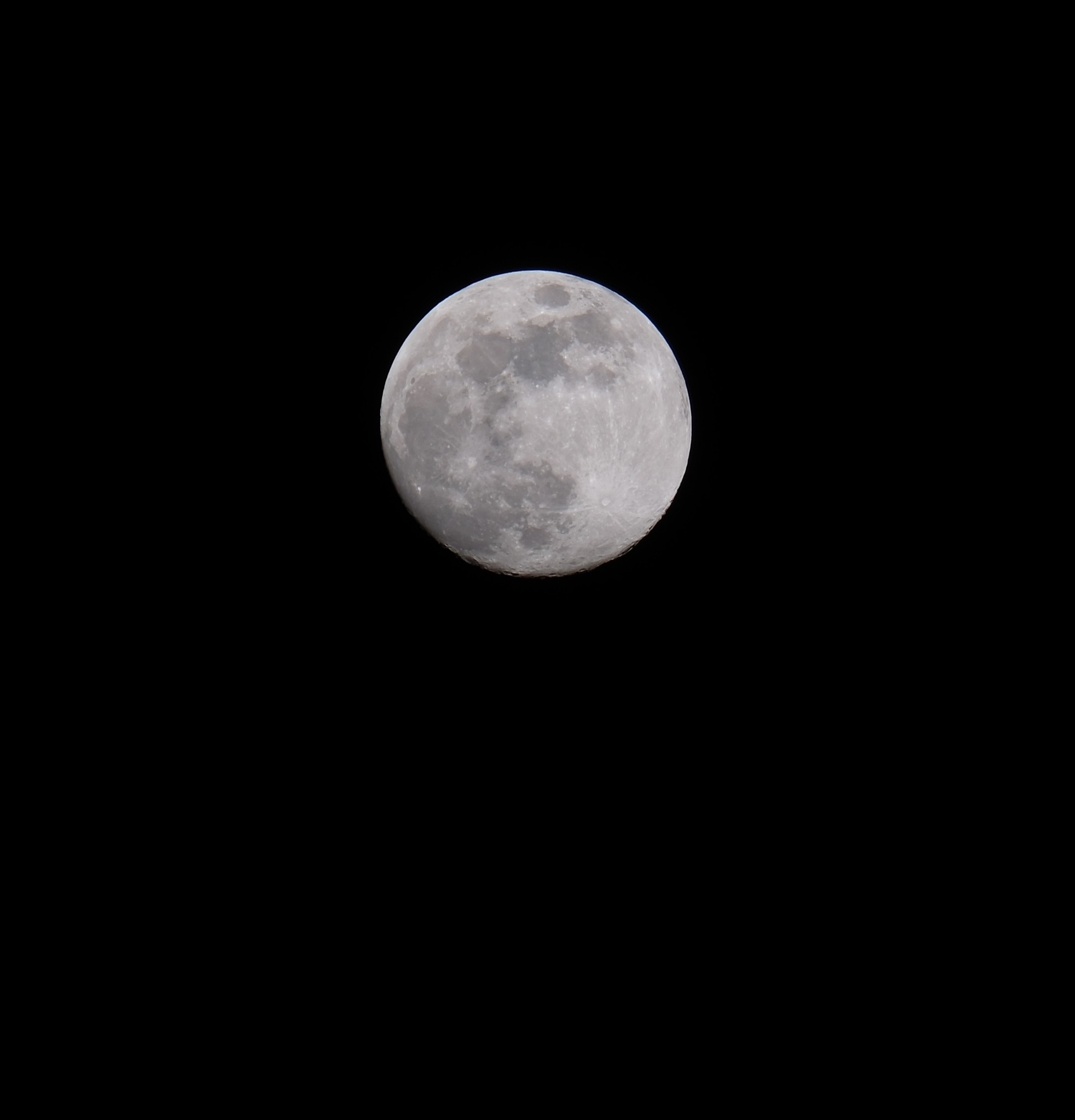 Luna padovana