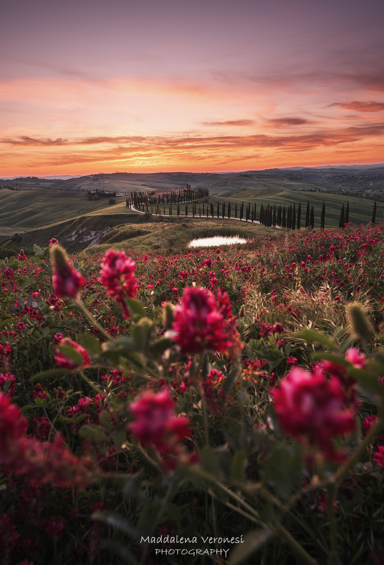 Podere Baccoleno - Asciano