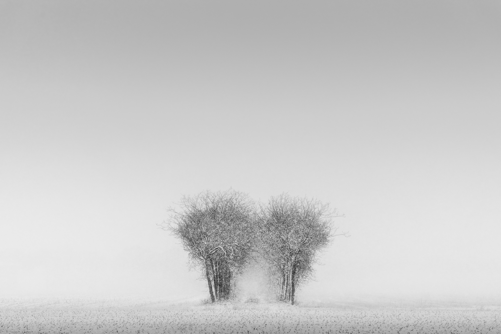 Breath of the Invisible