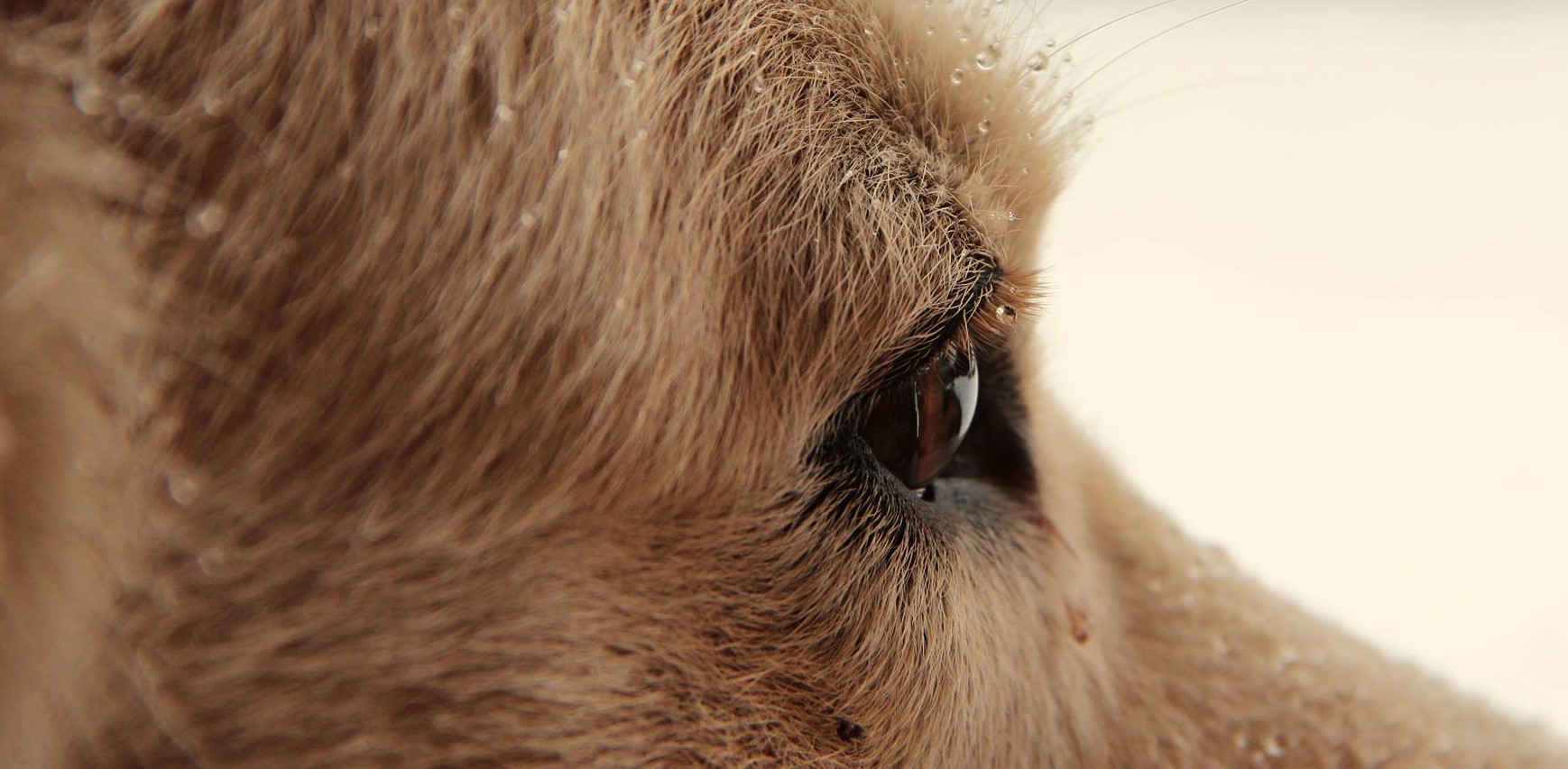 What are you thinking about?