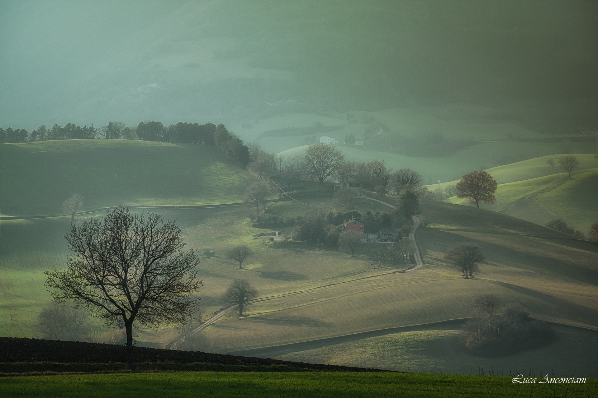 Marche countryside