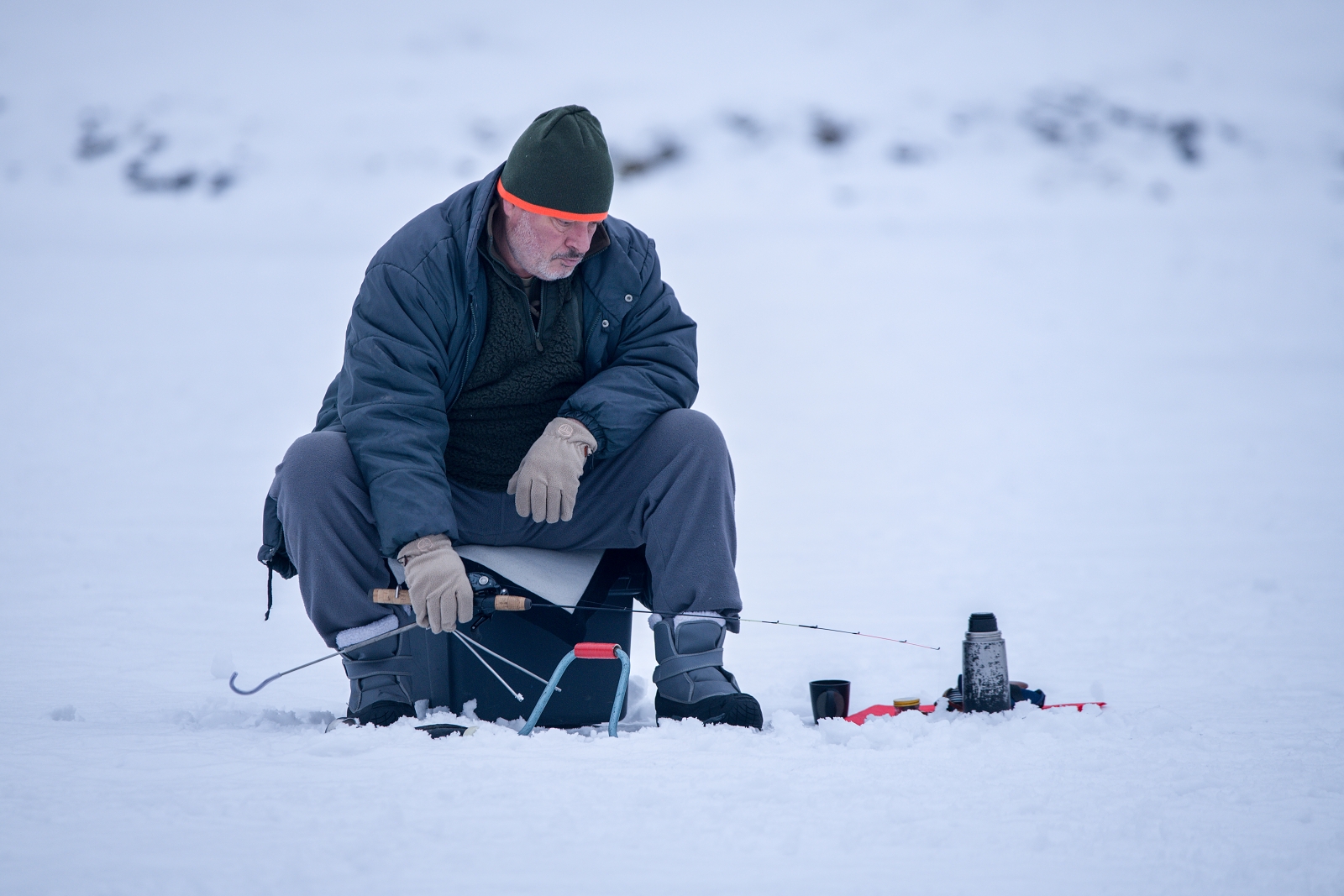 Bear fishing