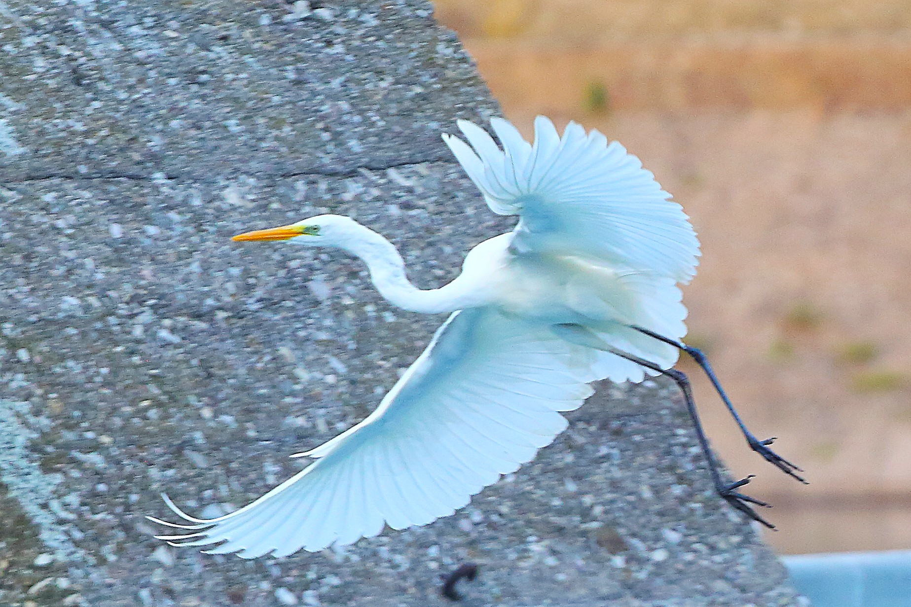 ABM 09 settembre 2025 - 0196