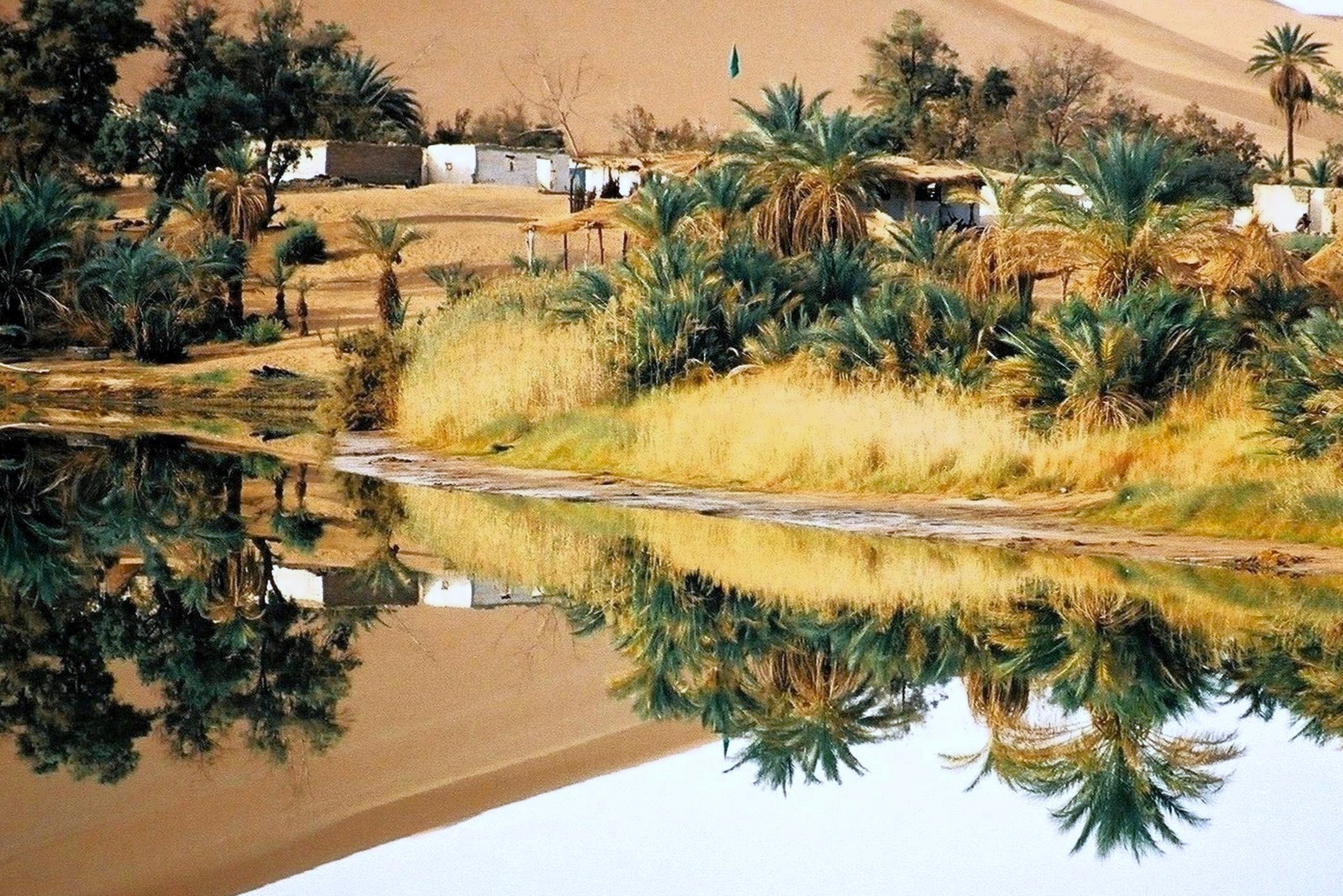 The oasis