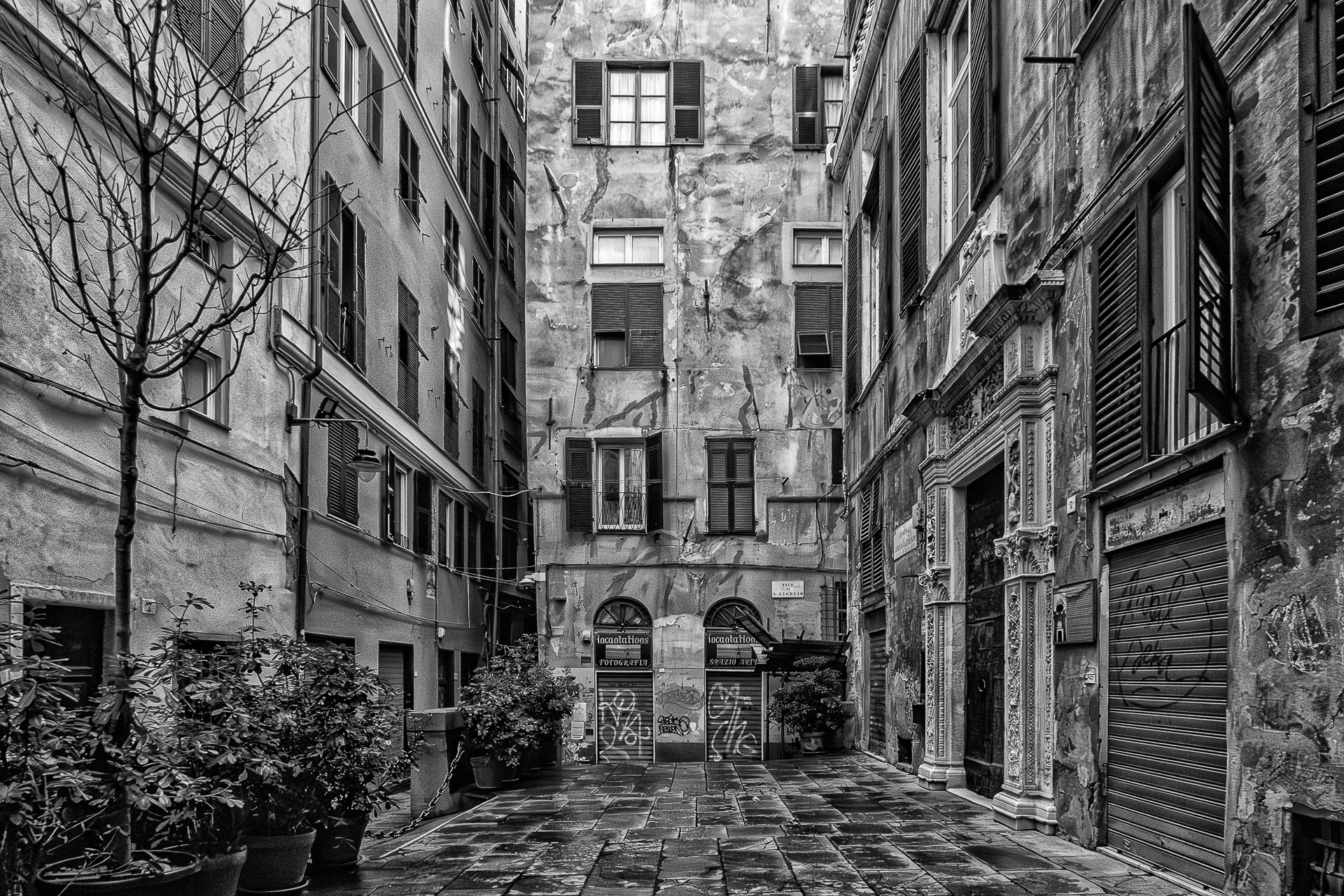 "y love caruggi" Genoa