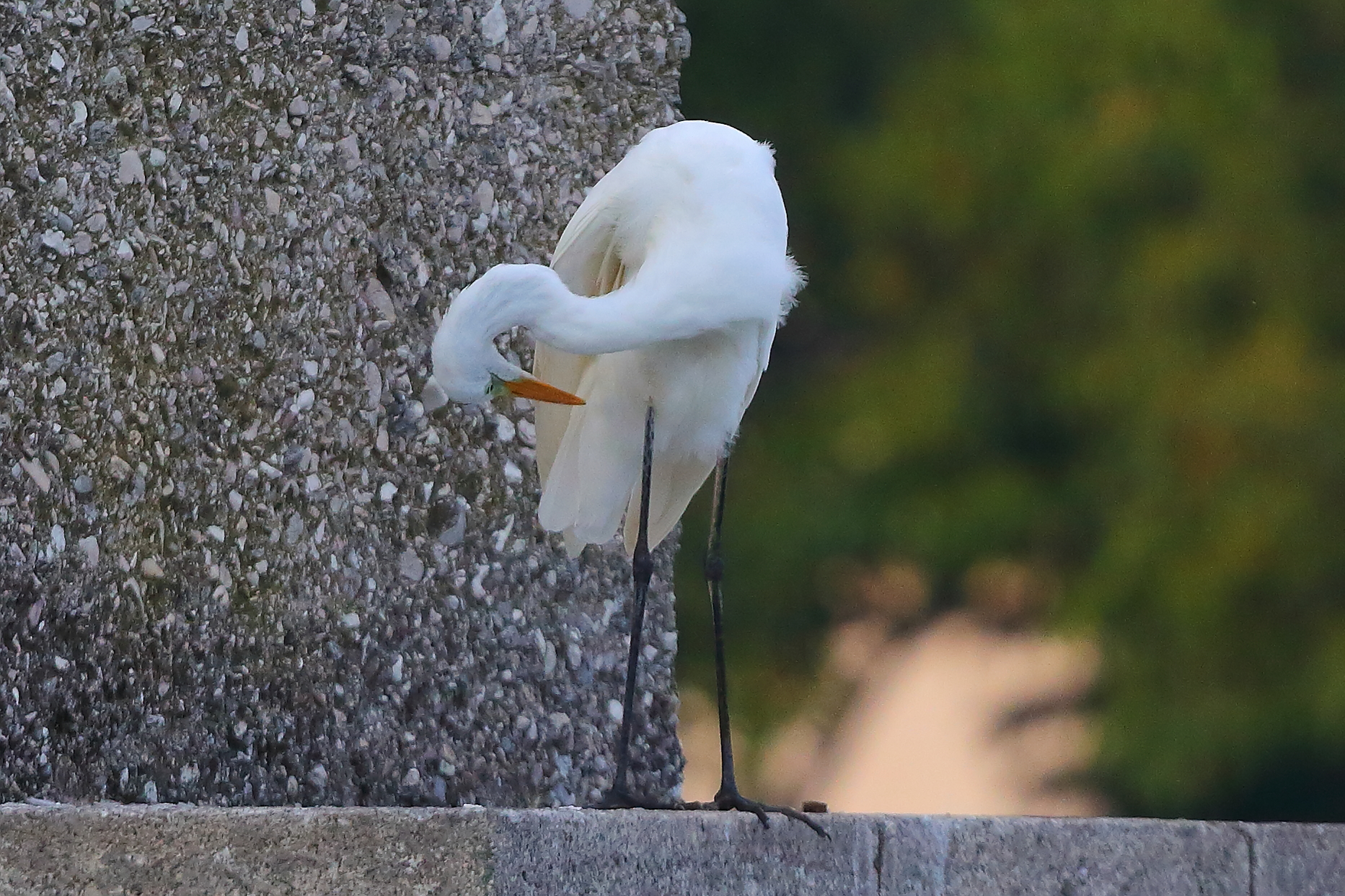 ABM 09 settembre 2025 - 0261