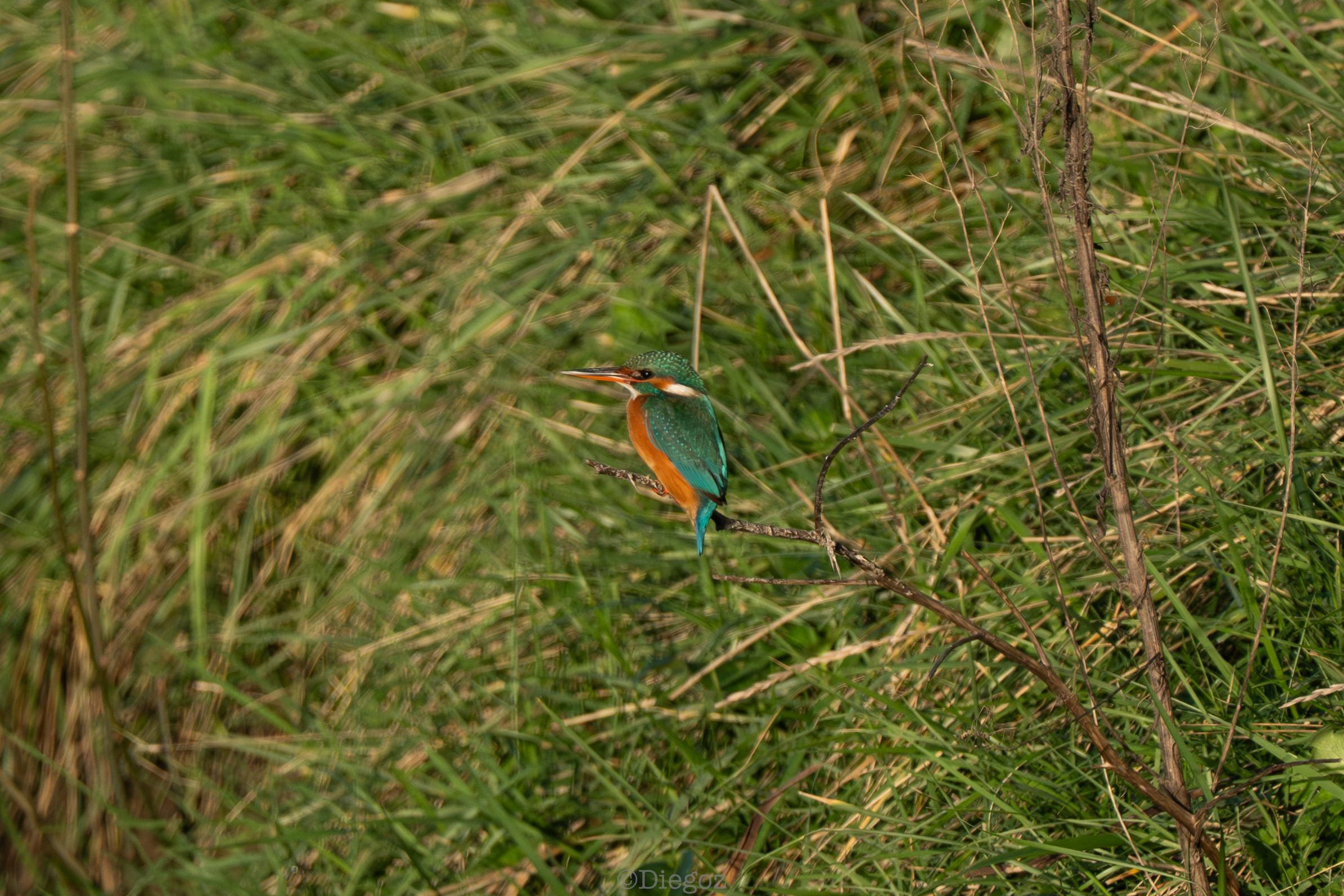 Untitled Photo