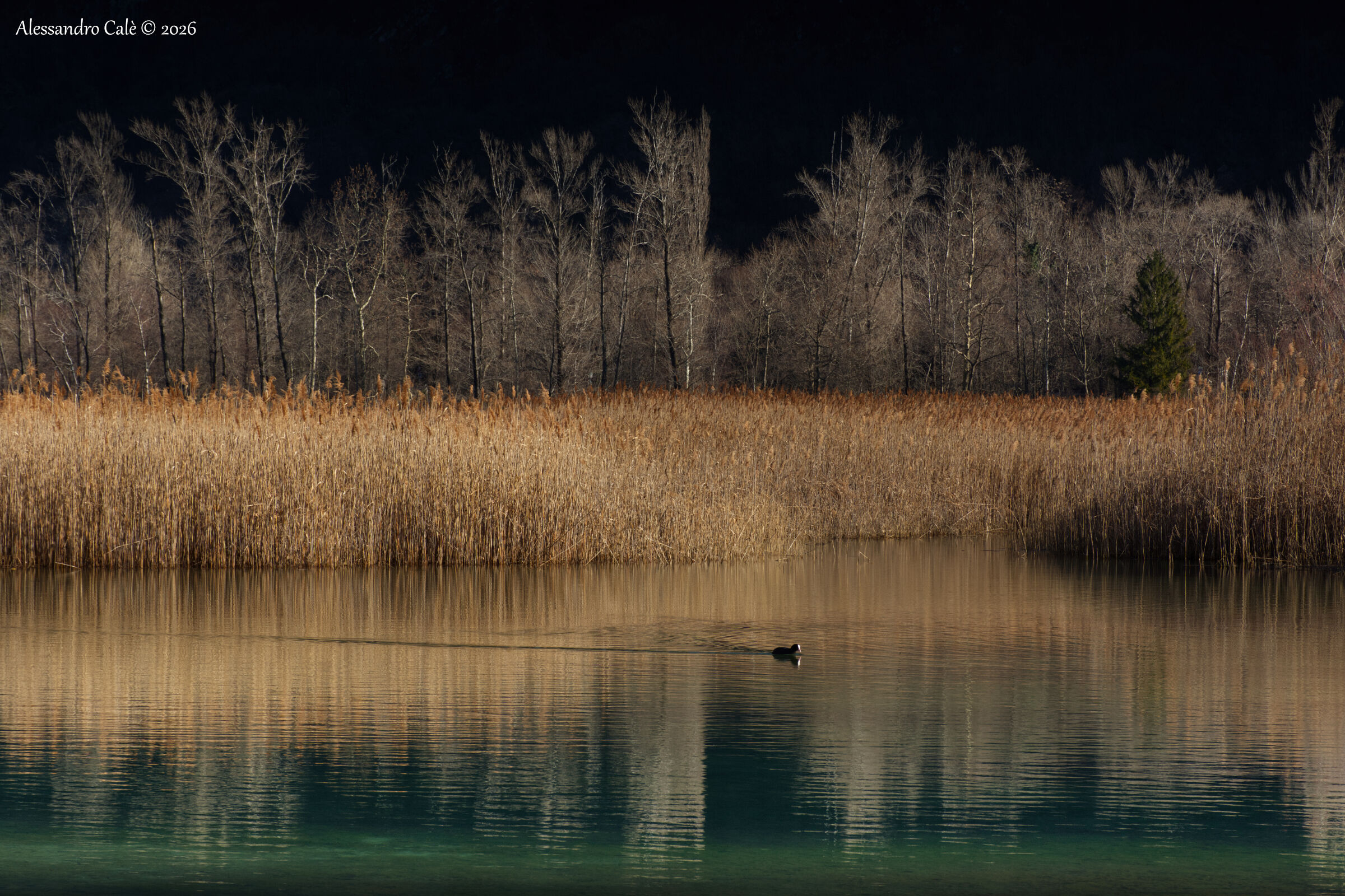 Lake of the 3 Municipalities 8430