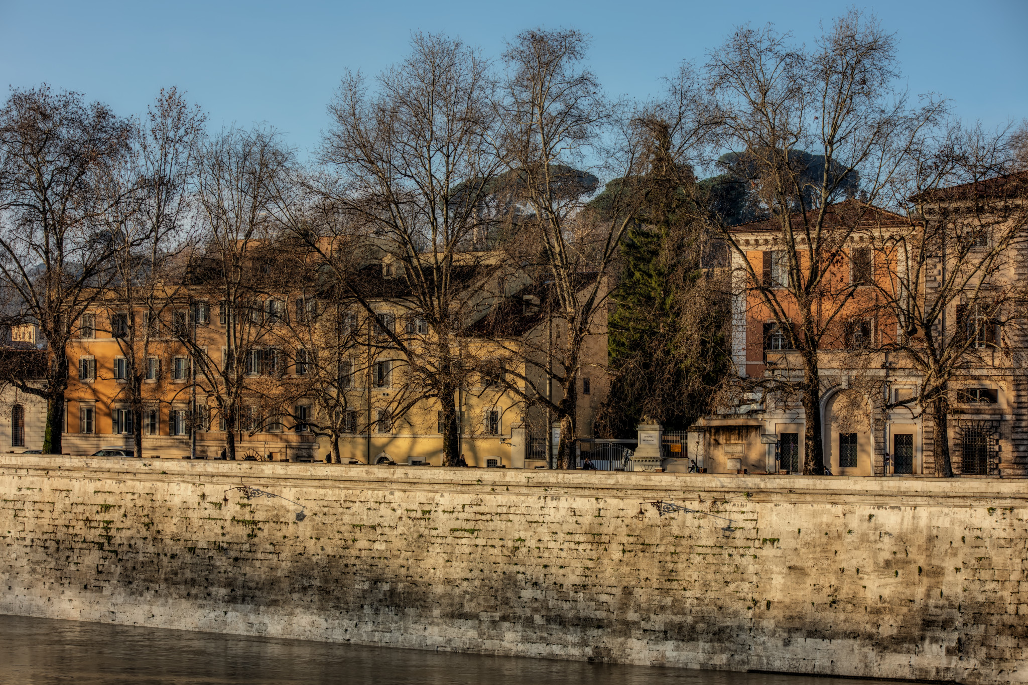 The morning light on the Lungotevere