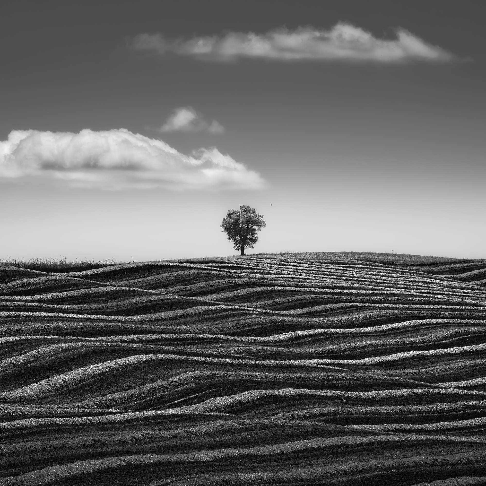 Empire of Loneliness