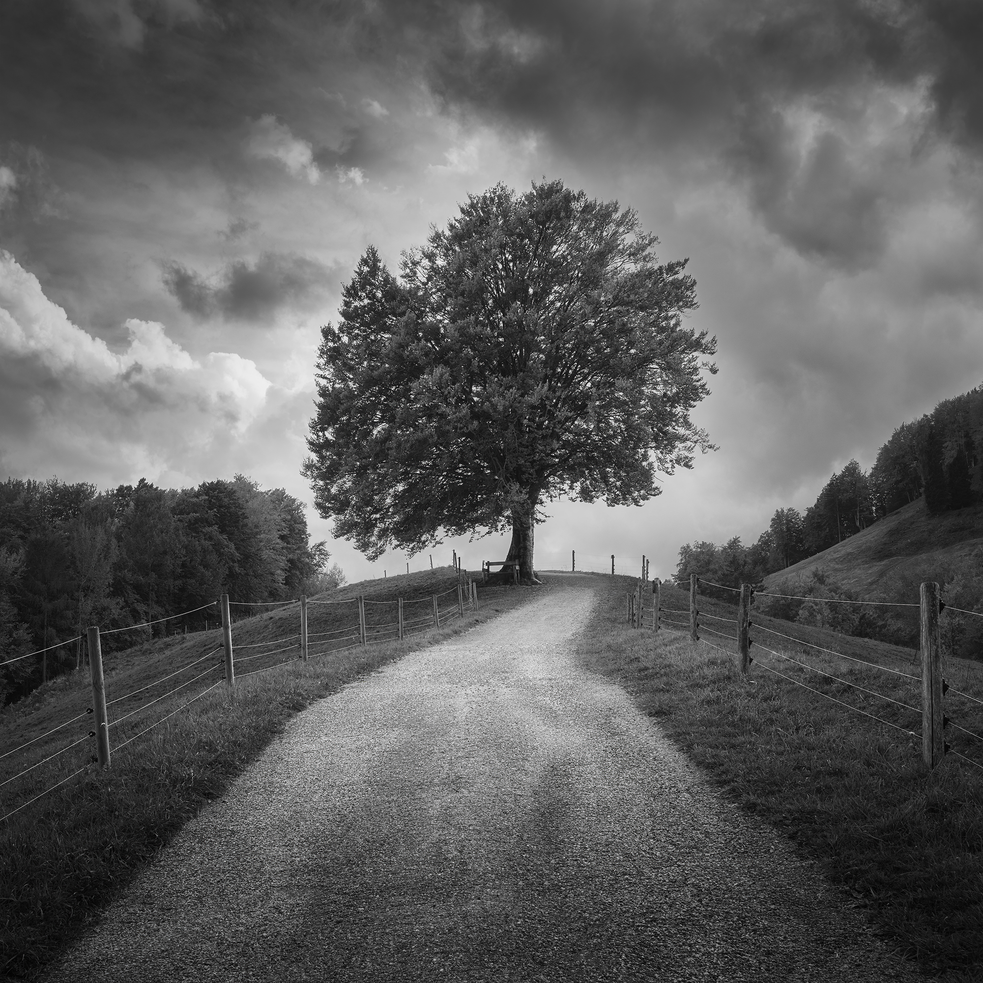Beneath Black Skies