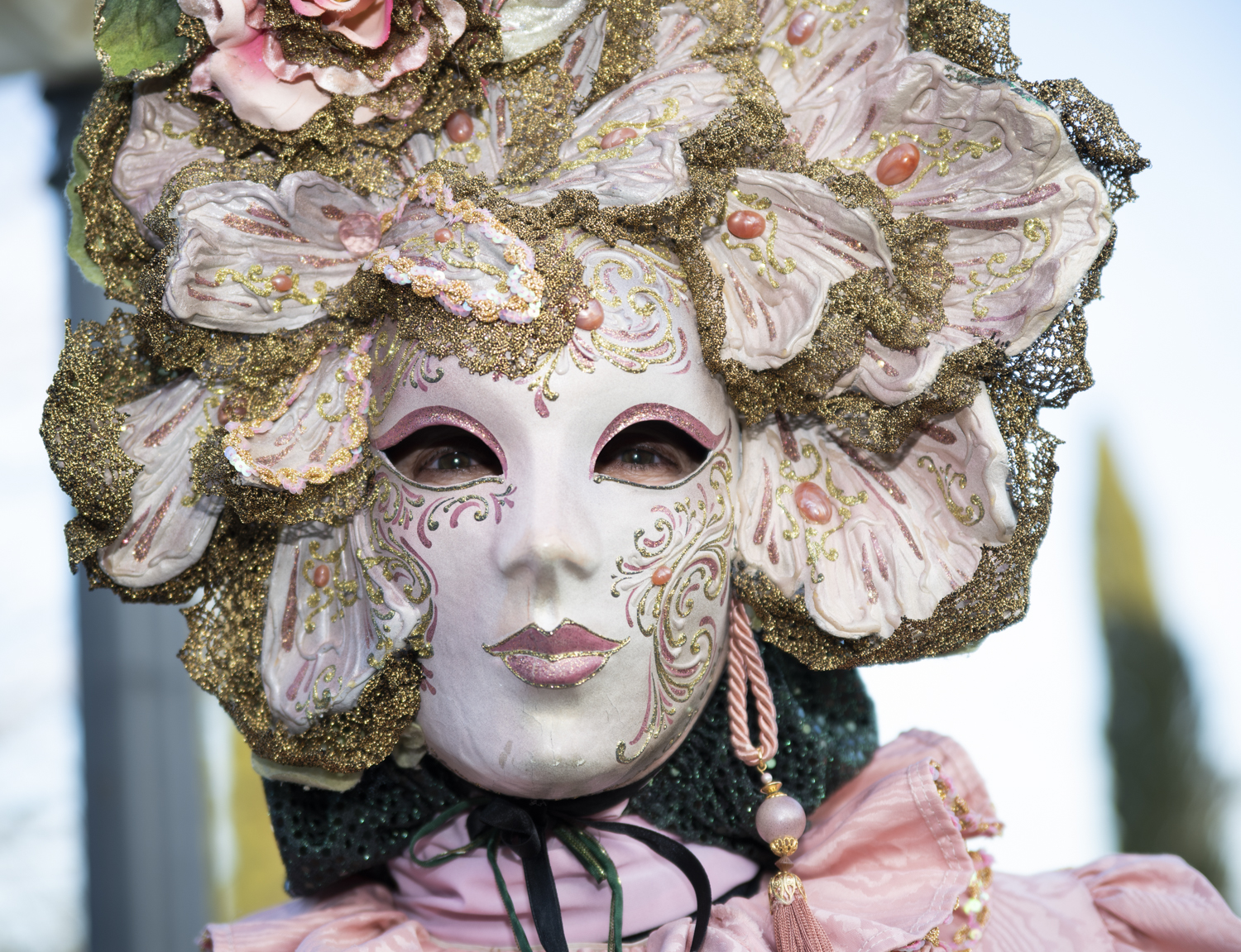 CARNIVAL OF THE SONS OF BOCCO